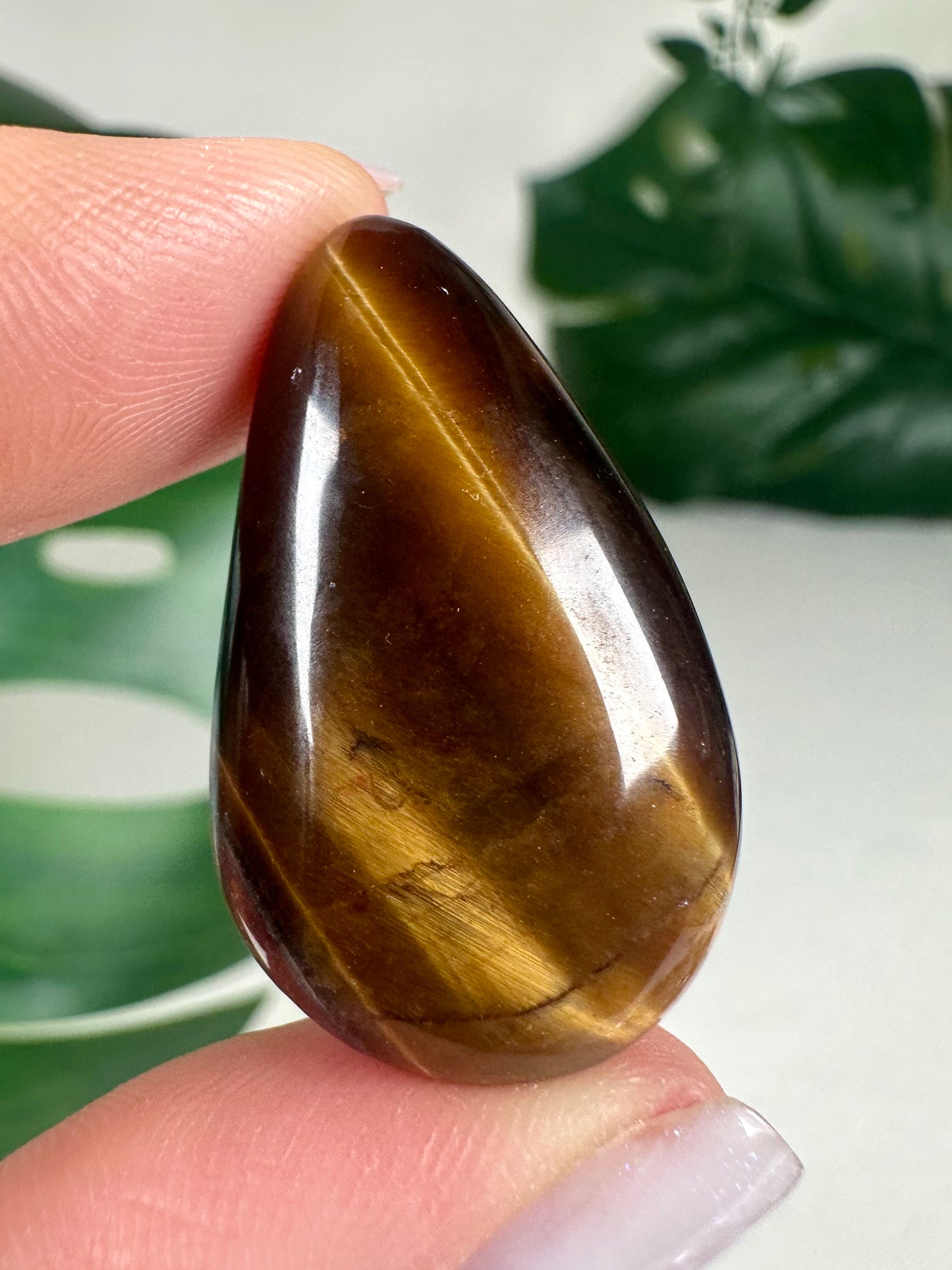 Tigerauge Anhänger Drop Shape