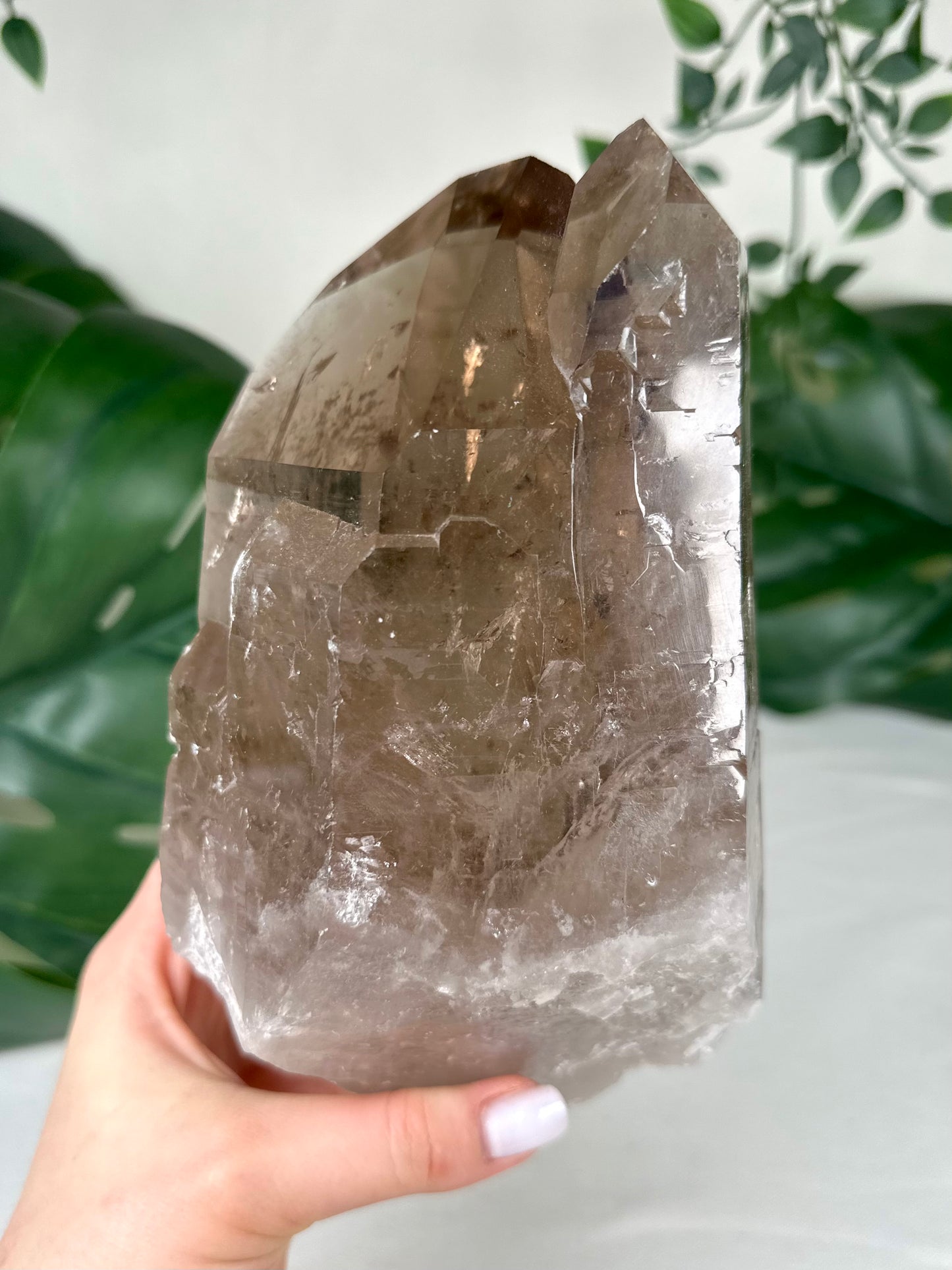 Rauchquarz Lemurian XL Nr.630LR