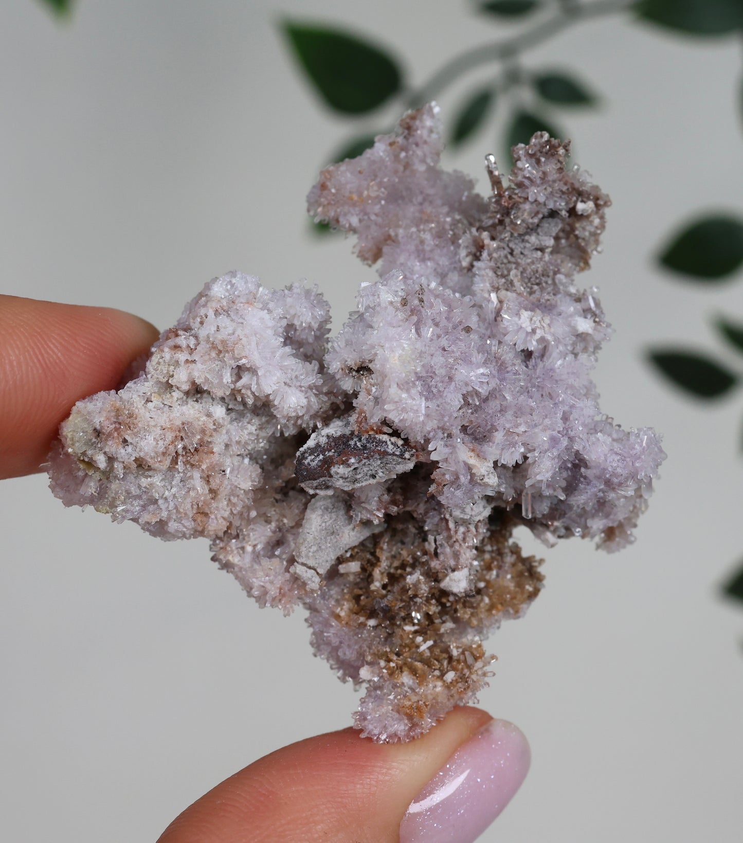 Lilaner Creedite Nr.109LC