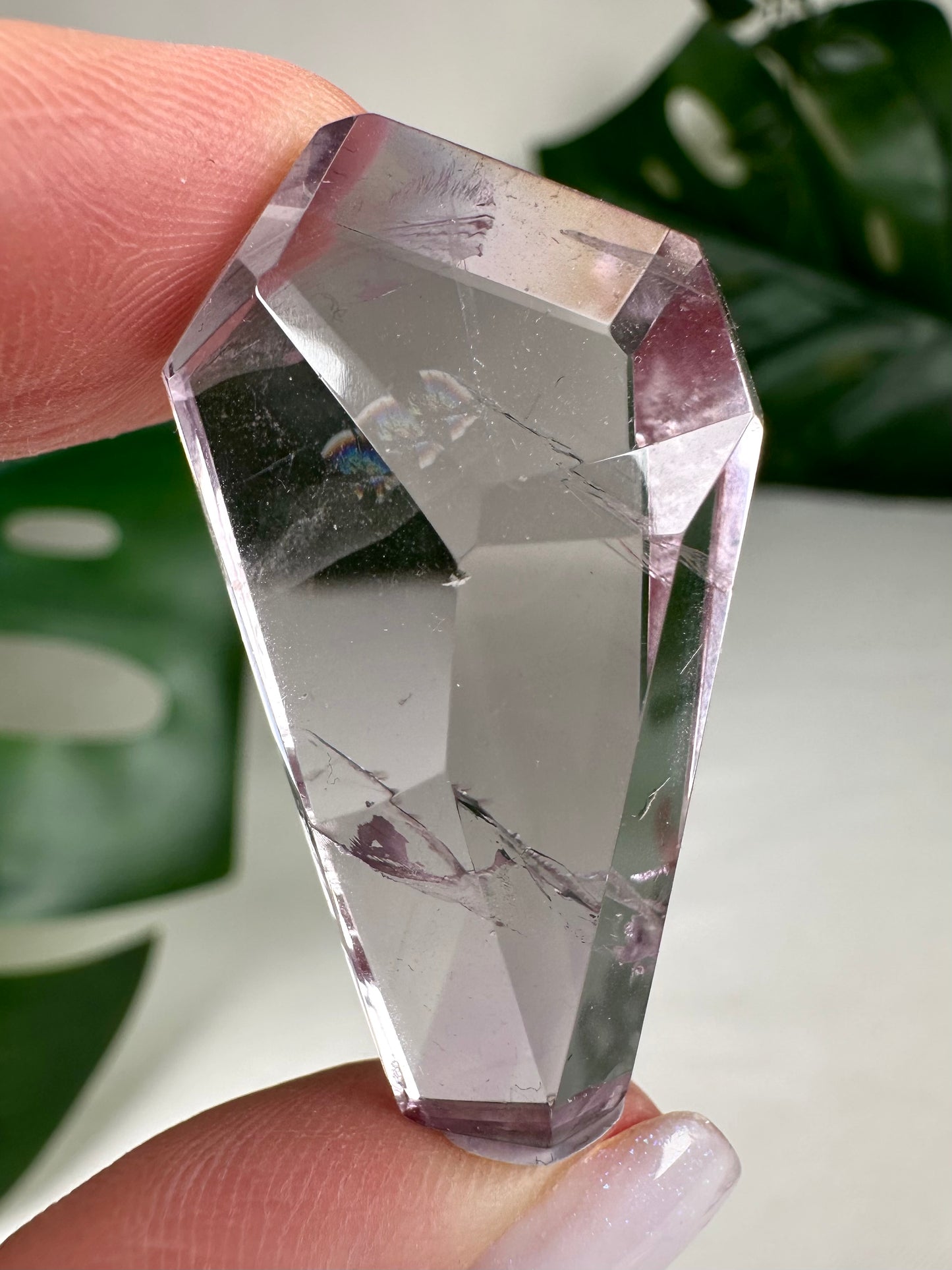 Rose de France Amethyst - Selection