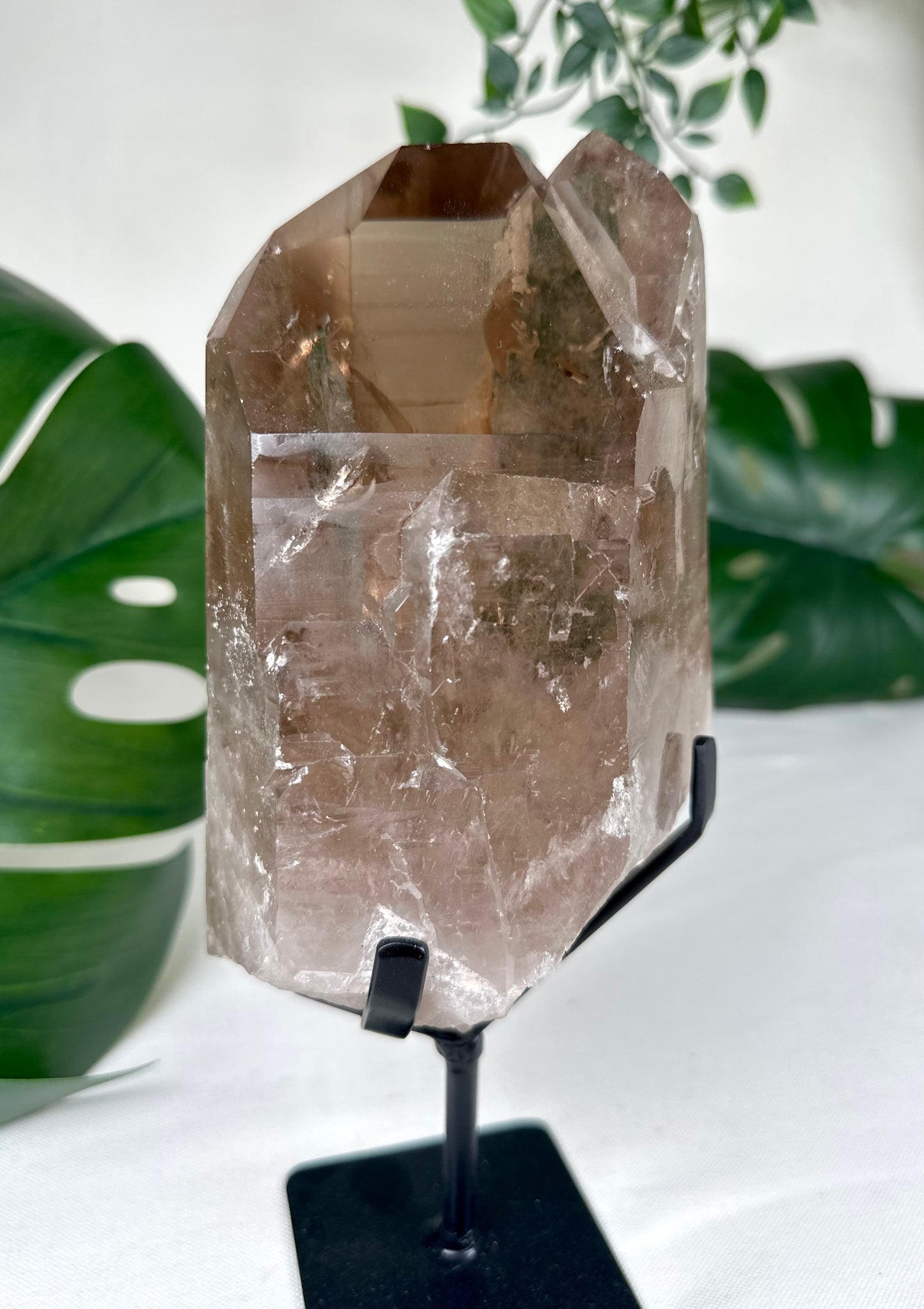 Rauchquarz Lemurian XL Nr.630LR