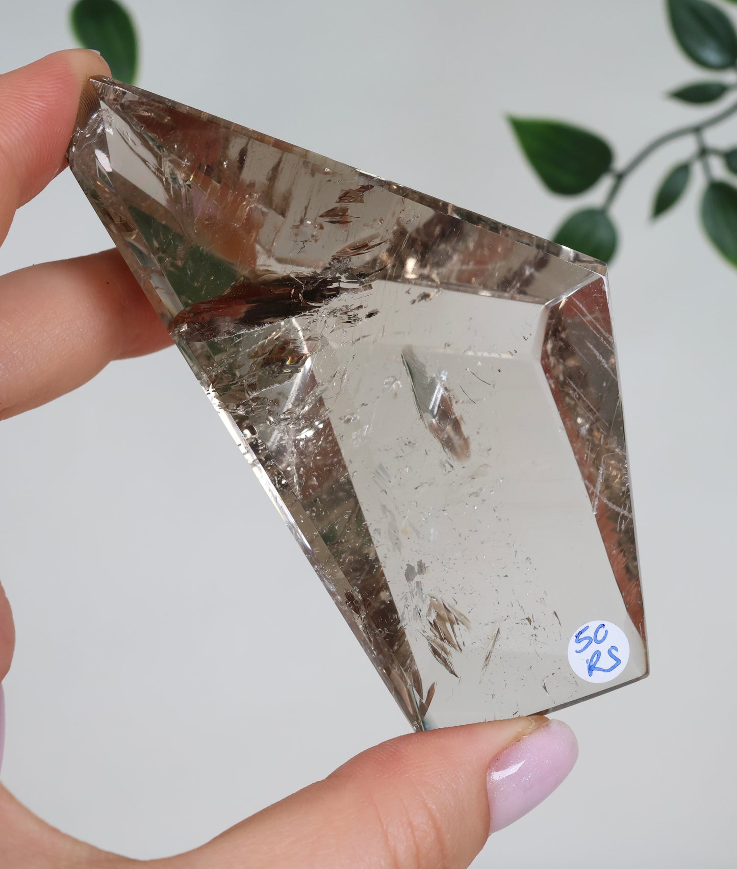 Rauchquarz Semi-Polished Nr.50RS