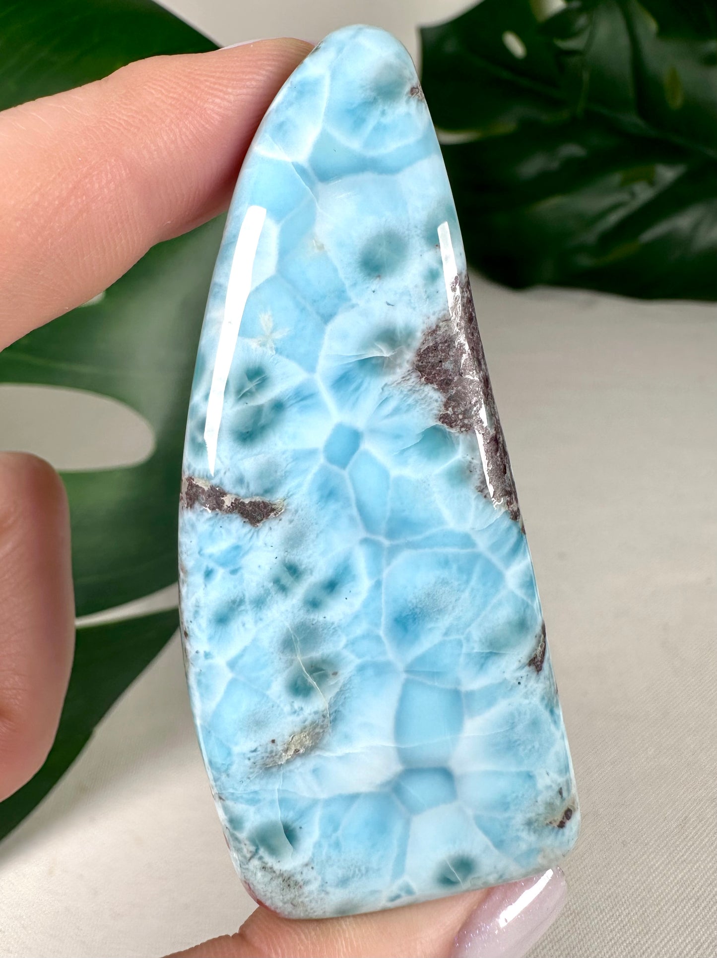 Larimar No.221LA
