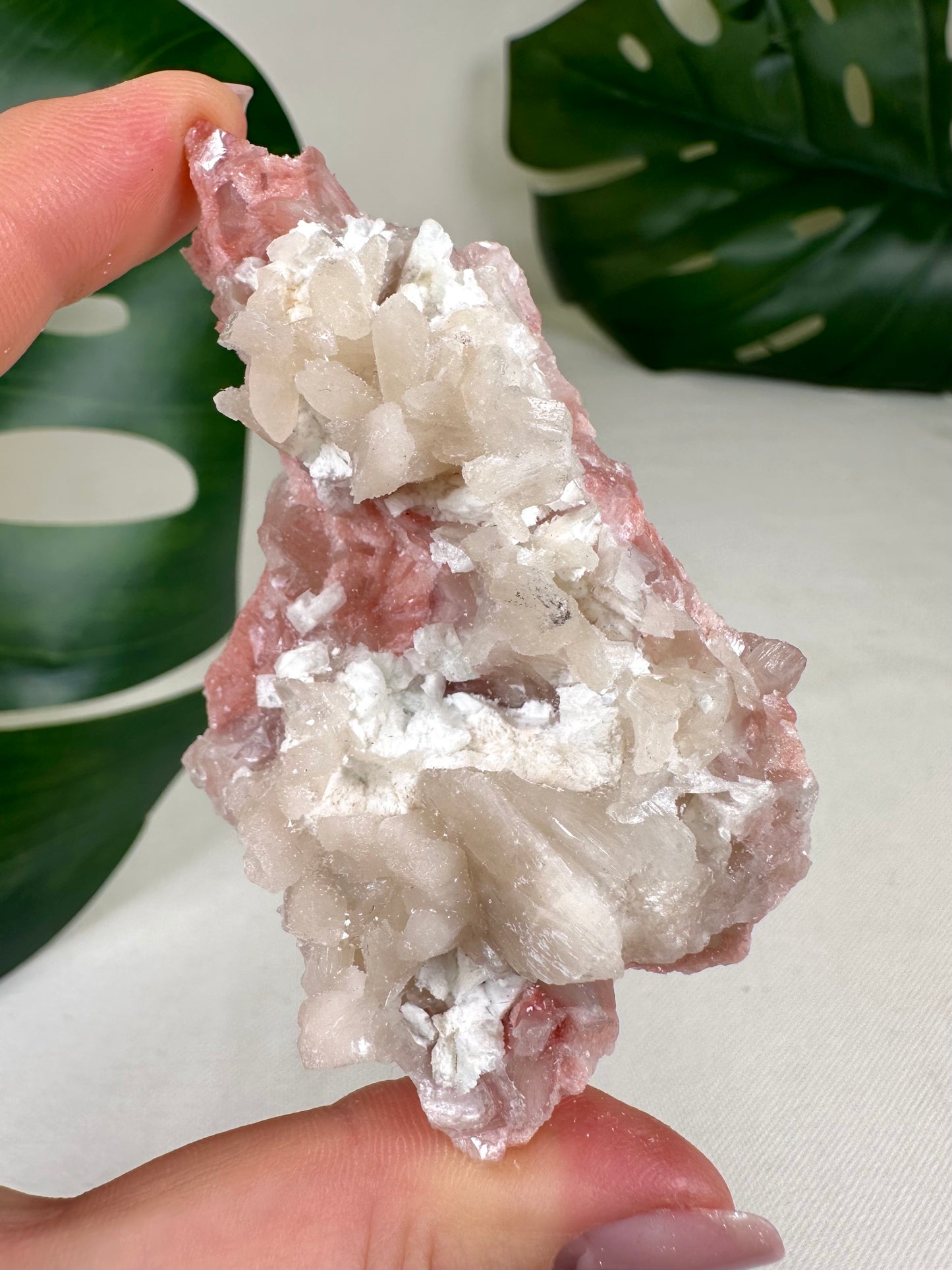 Apophyllit Red Crust mit Stilbit Nr.46AR