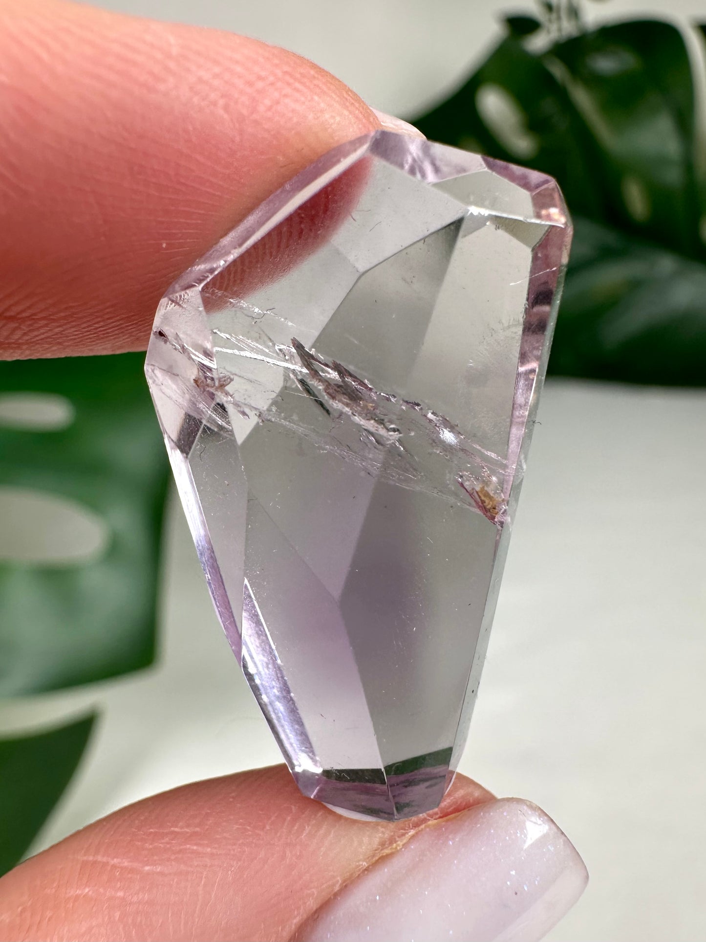 Rose de France Amethyst - Selection