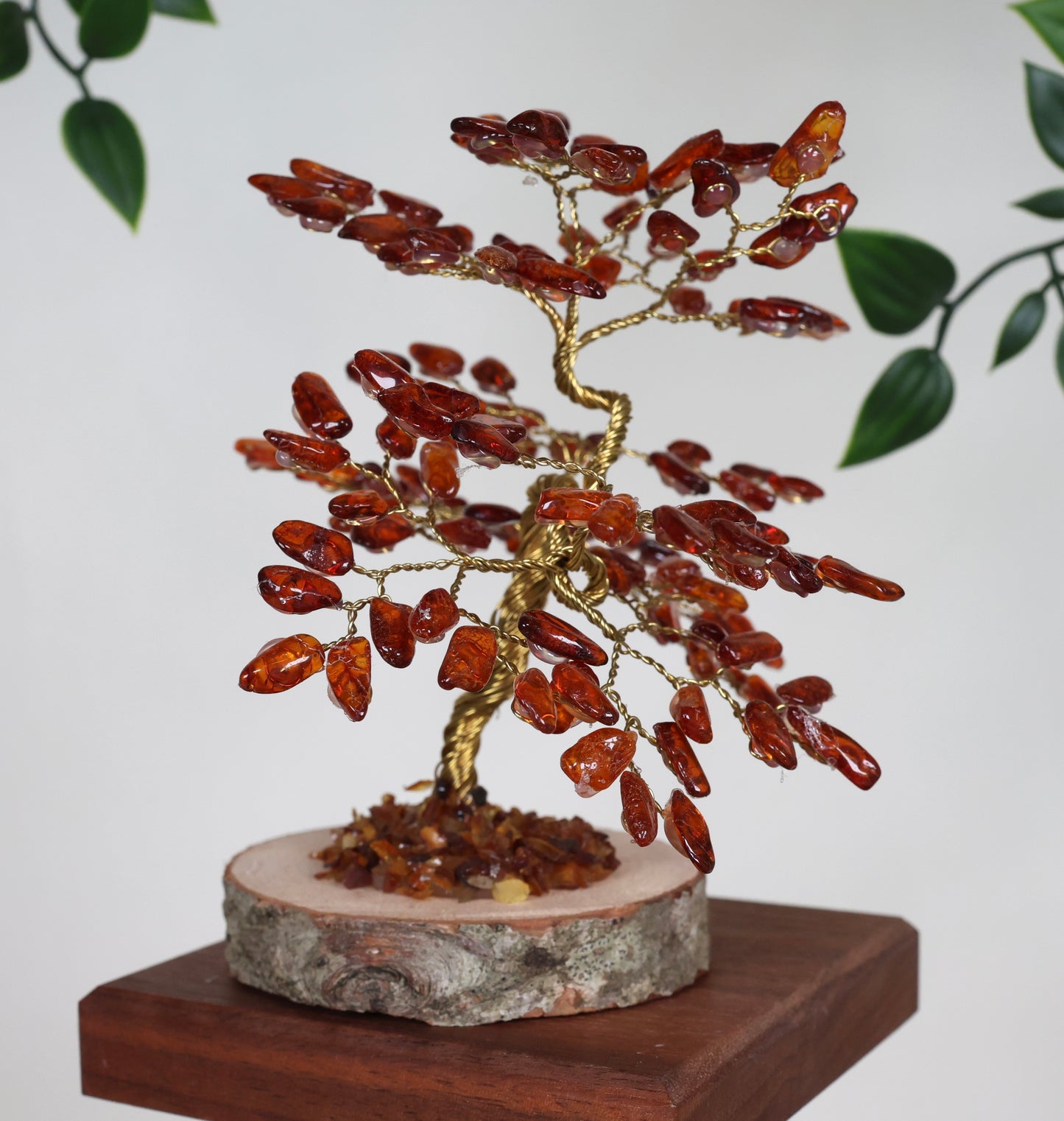 Bernstein Baum Nr.53B4