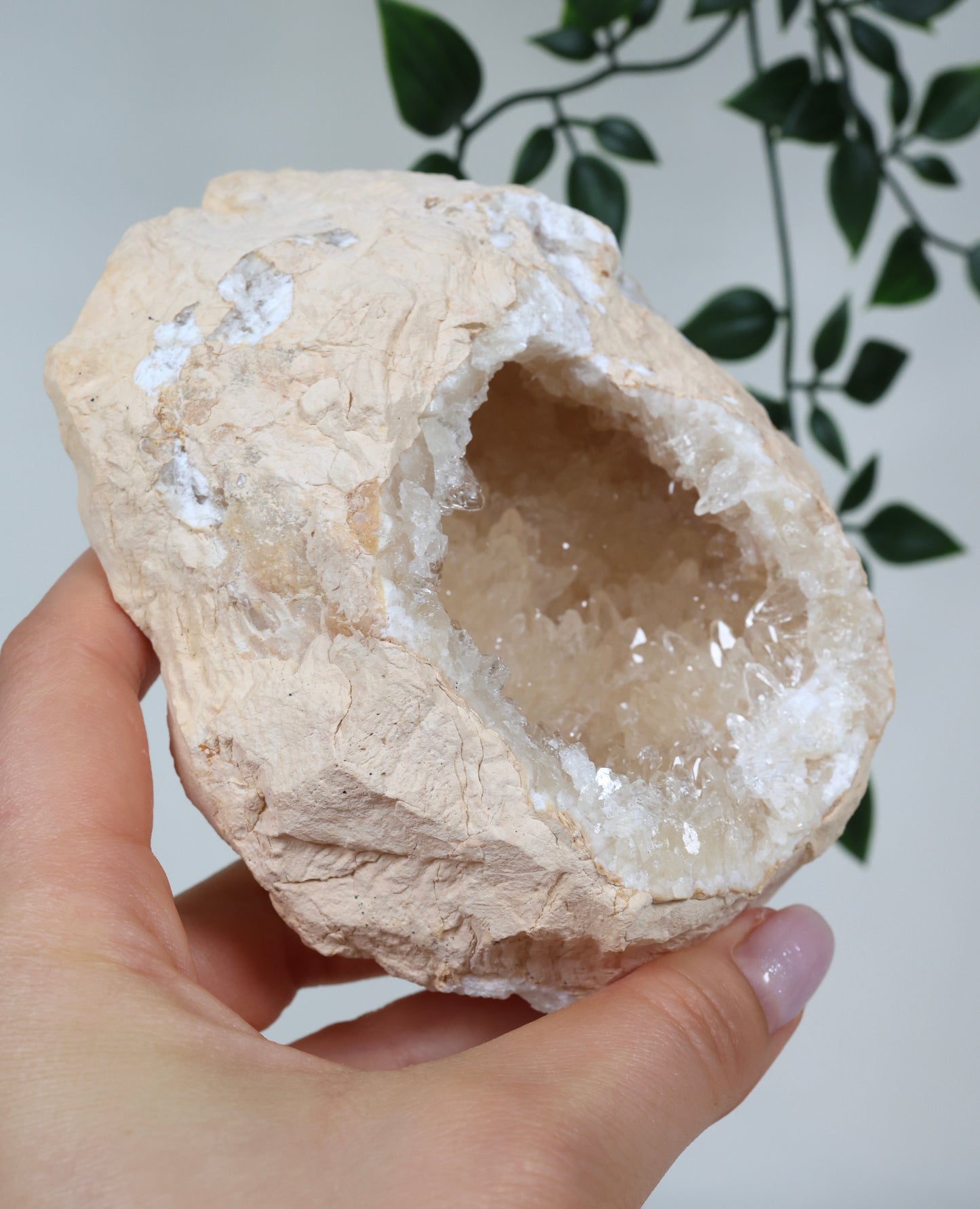 Calcit Geode Nr.22CG