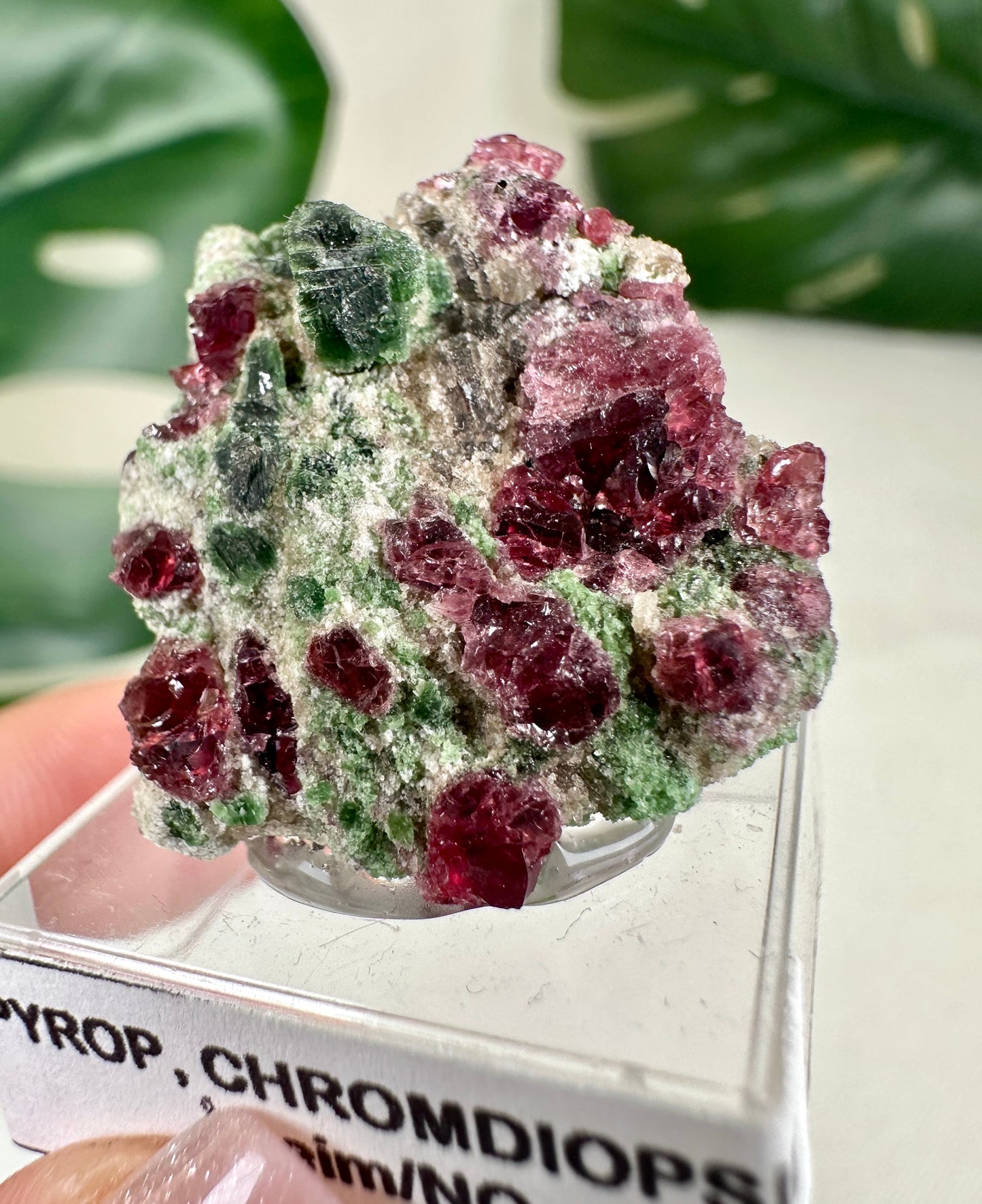 Pyrop Granat x Chromdiopsid Nr.76PC