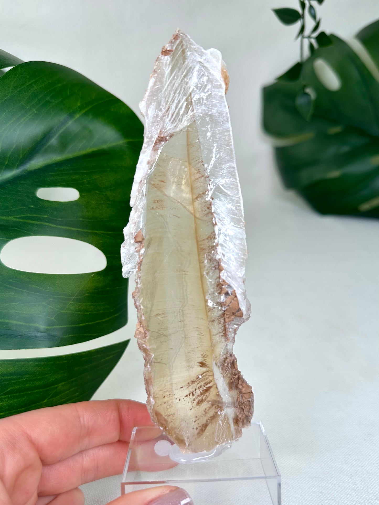 Bicolor Selenite No. 65BS