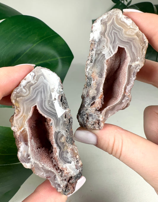 Laguna Agate Geodes Pair No.179L4