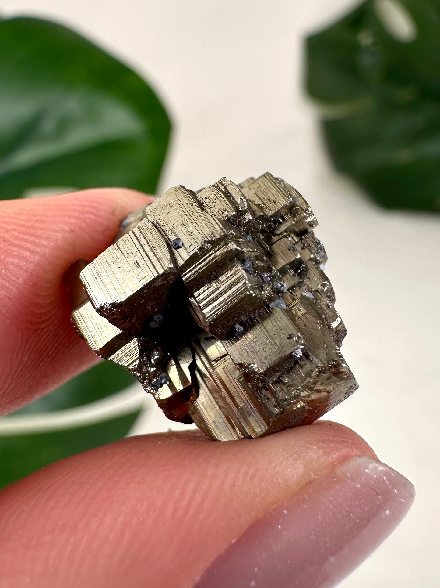 Pyrite No. 10P4