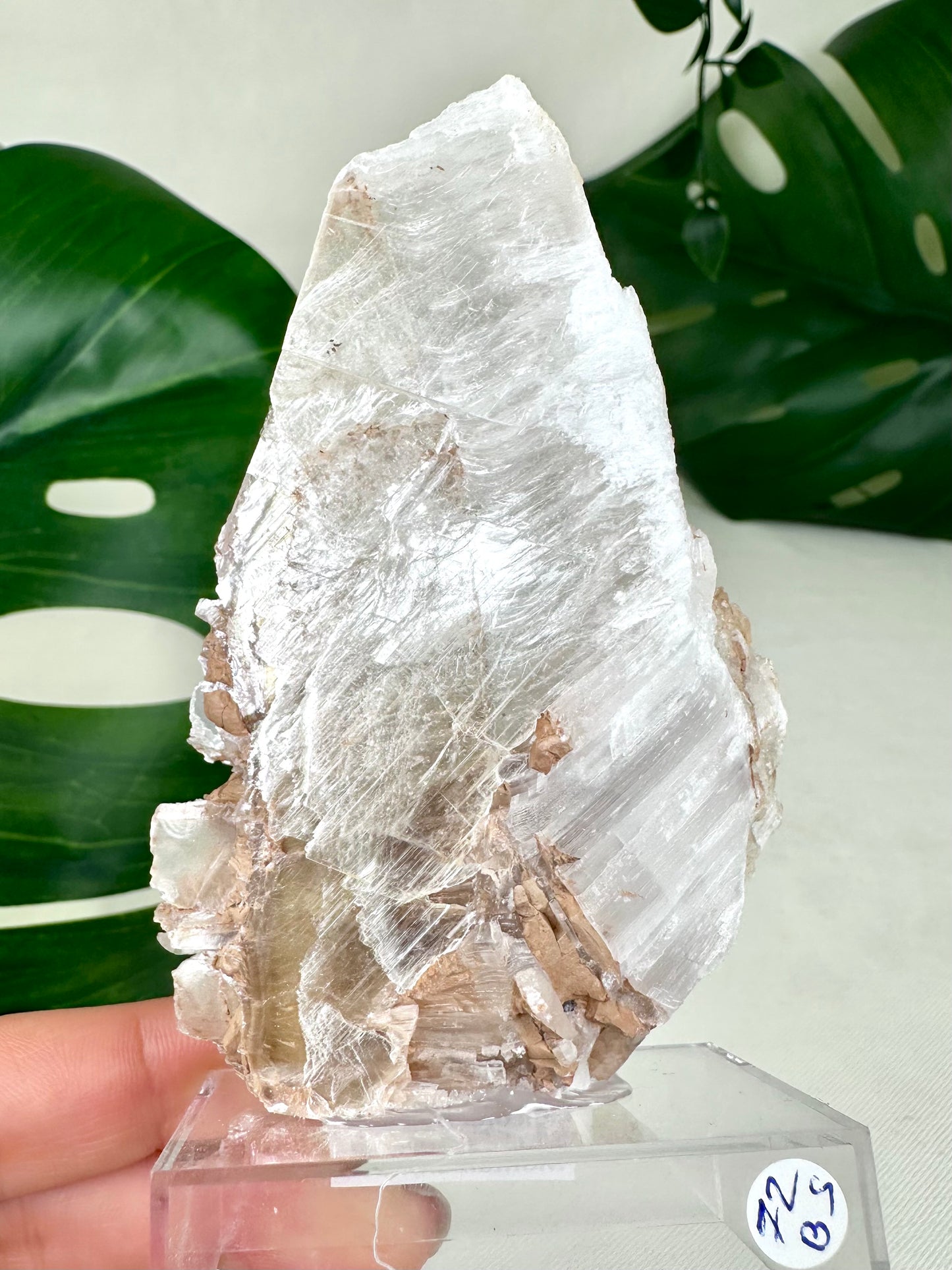 Bicolor Selenite No. 72BS
