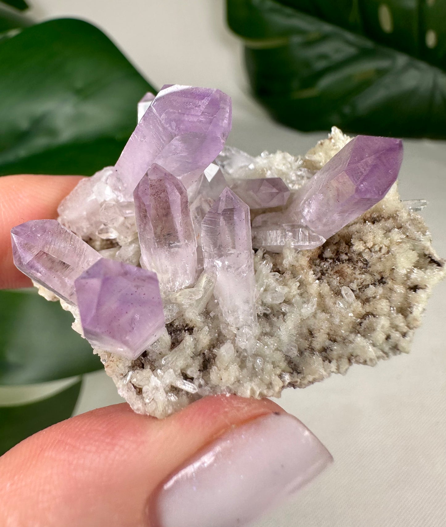 Vera Cruz Amethyst Nr.72VC