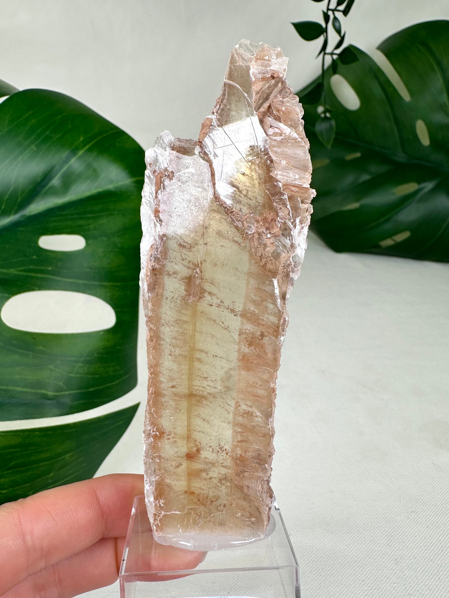 Bicolor Selenite No. 37BS