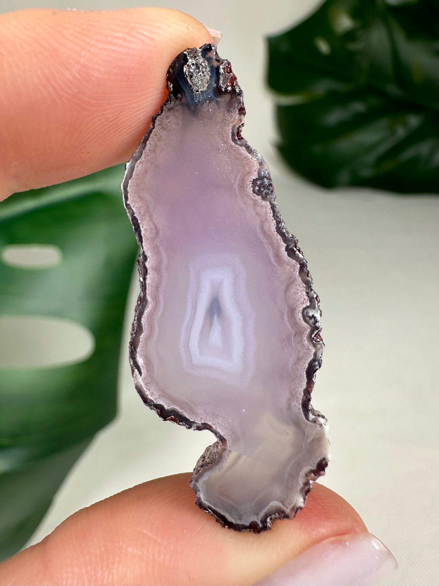Coyamito Agate Slice - Purple - Selection