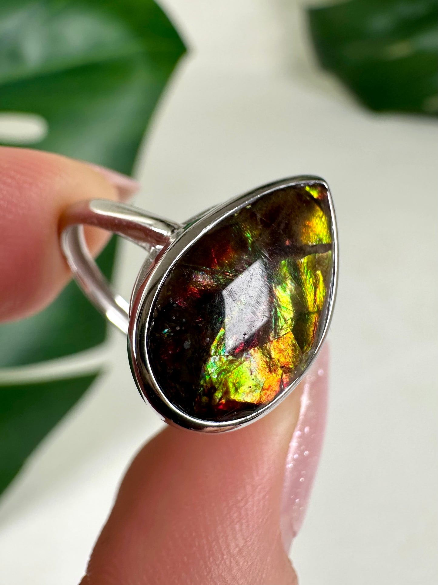 Ammolit Ring in 925 Silber Nr.115A1