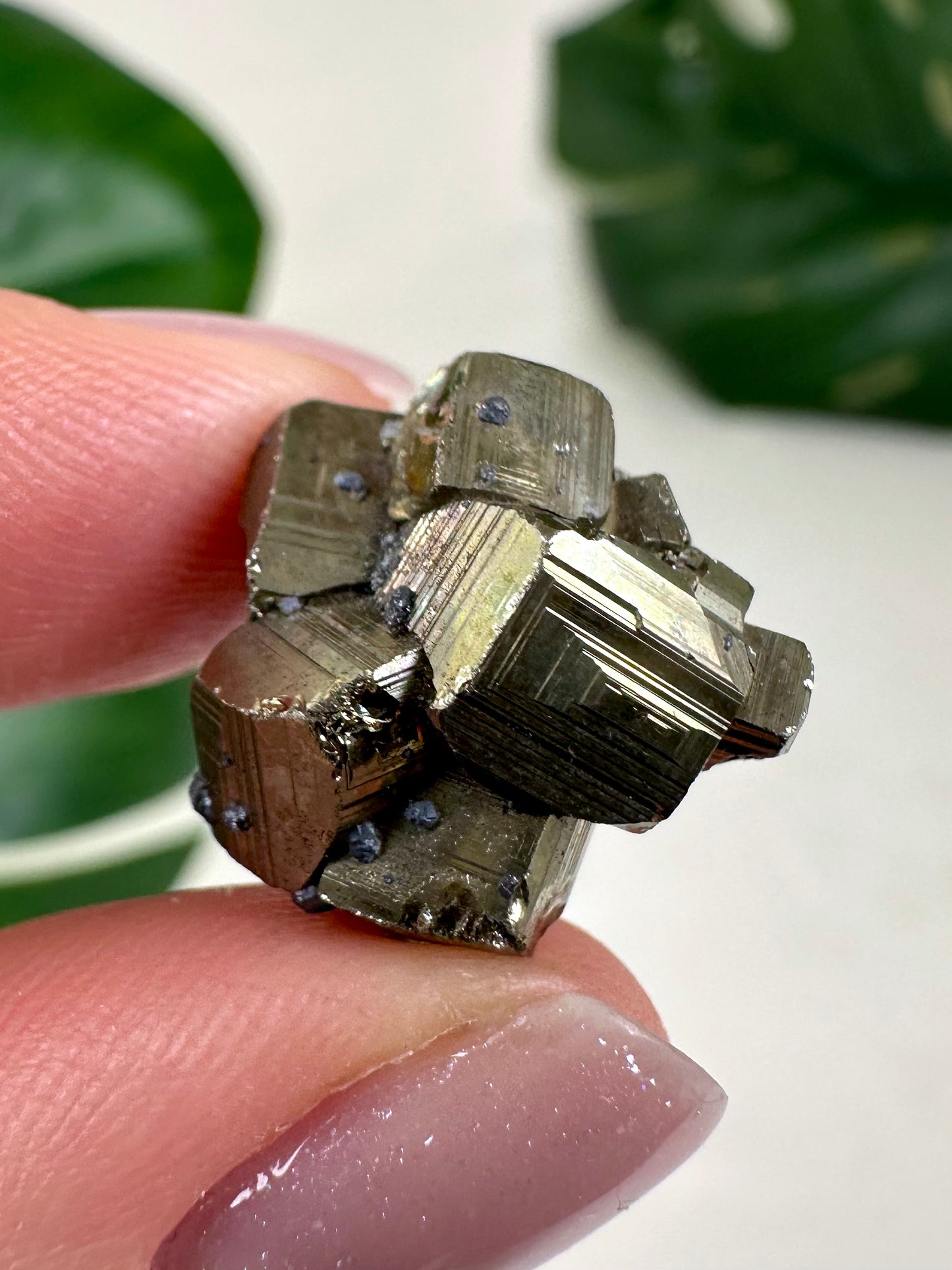 Pyrite No. 8P1