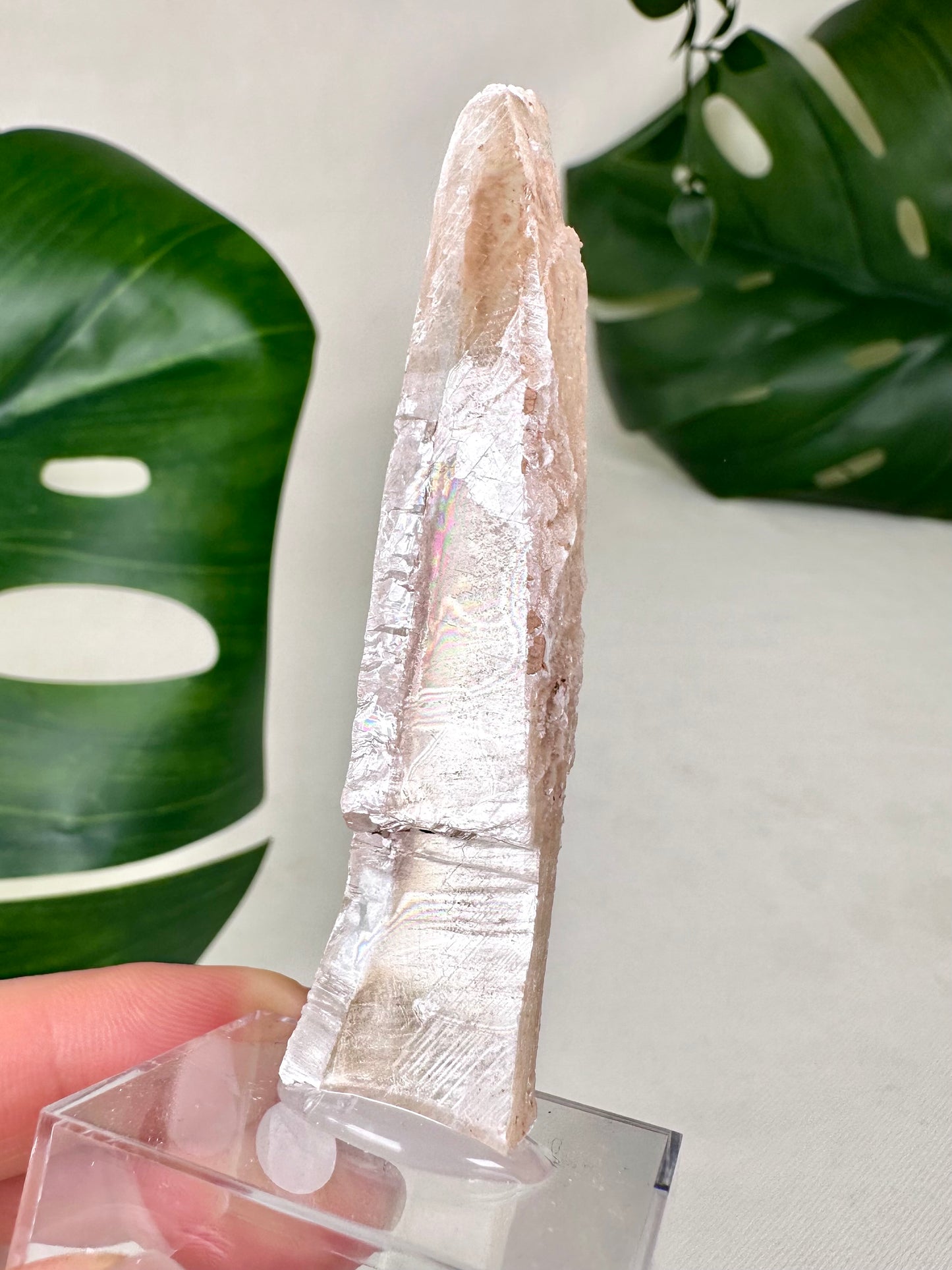 Bicolor Selenite No. 13BS