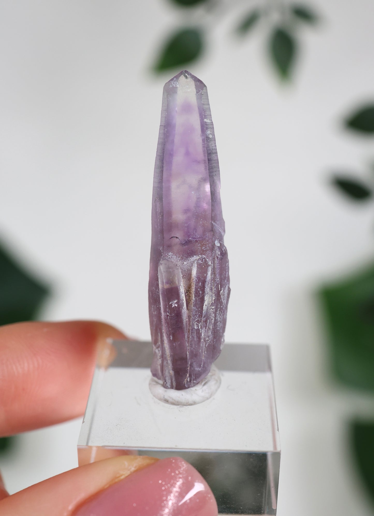 Guerrero Amethyst Oldstock XS - Auswahl