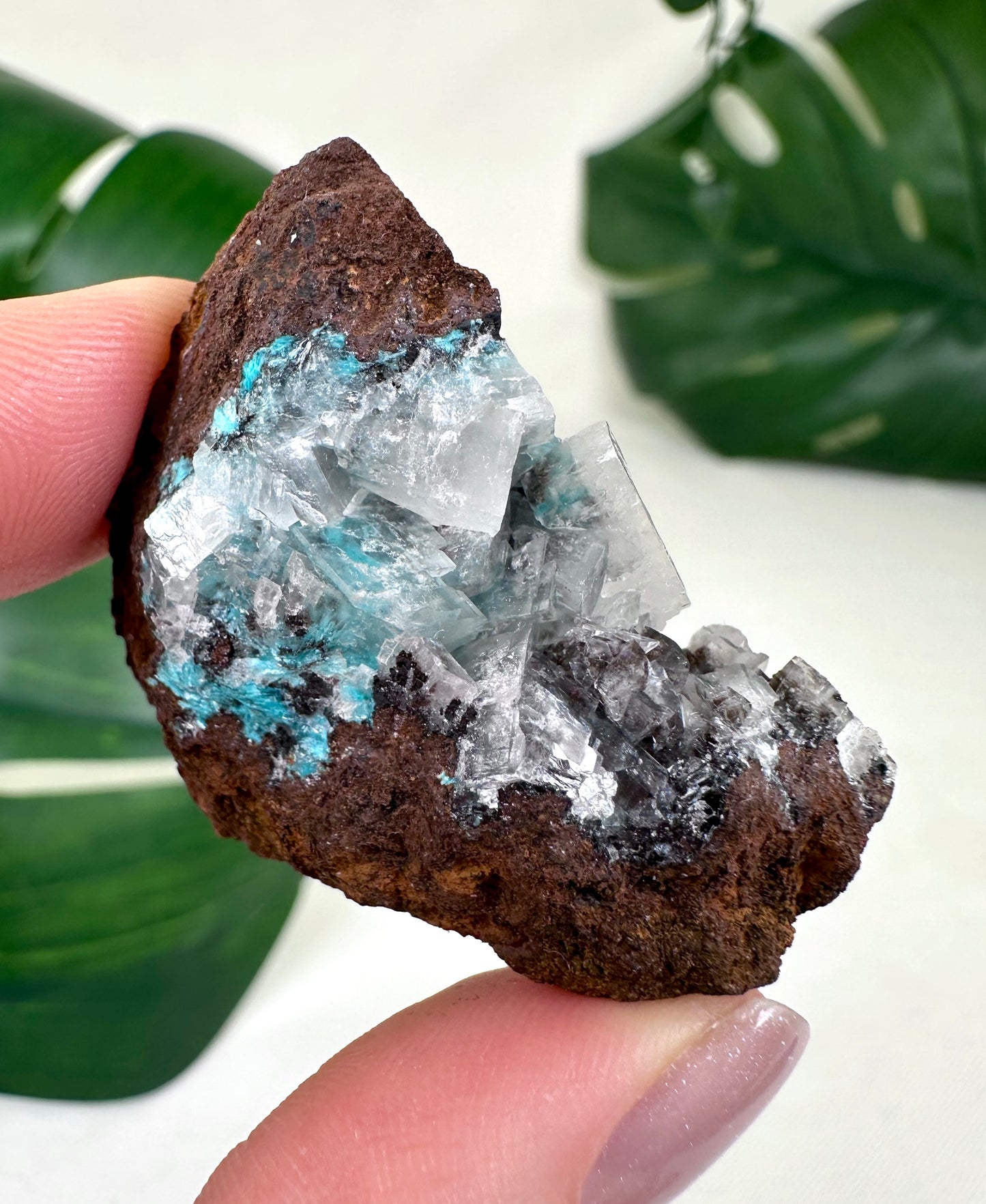 Aurichalcite No. 18AC