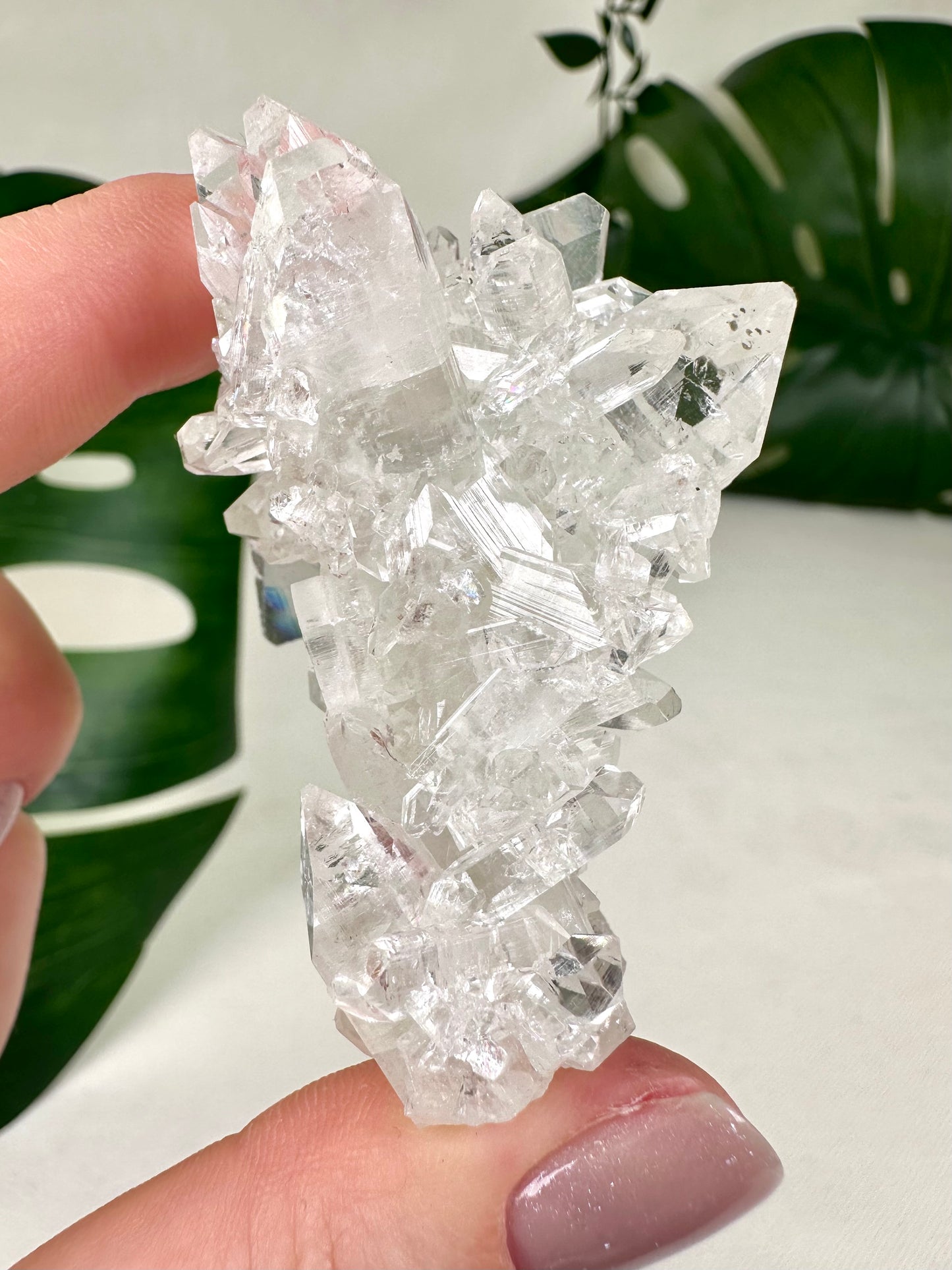 Apophyllite with Stilbite Stalactite HQ No.101AZ