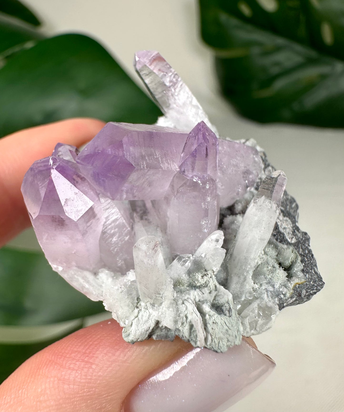 Vera Cruz Amethyst Nr.70VC