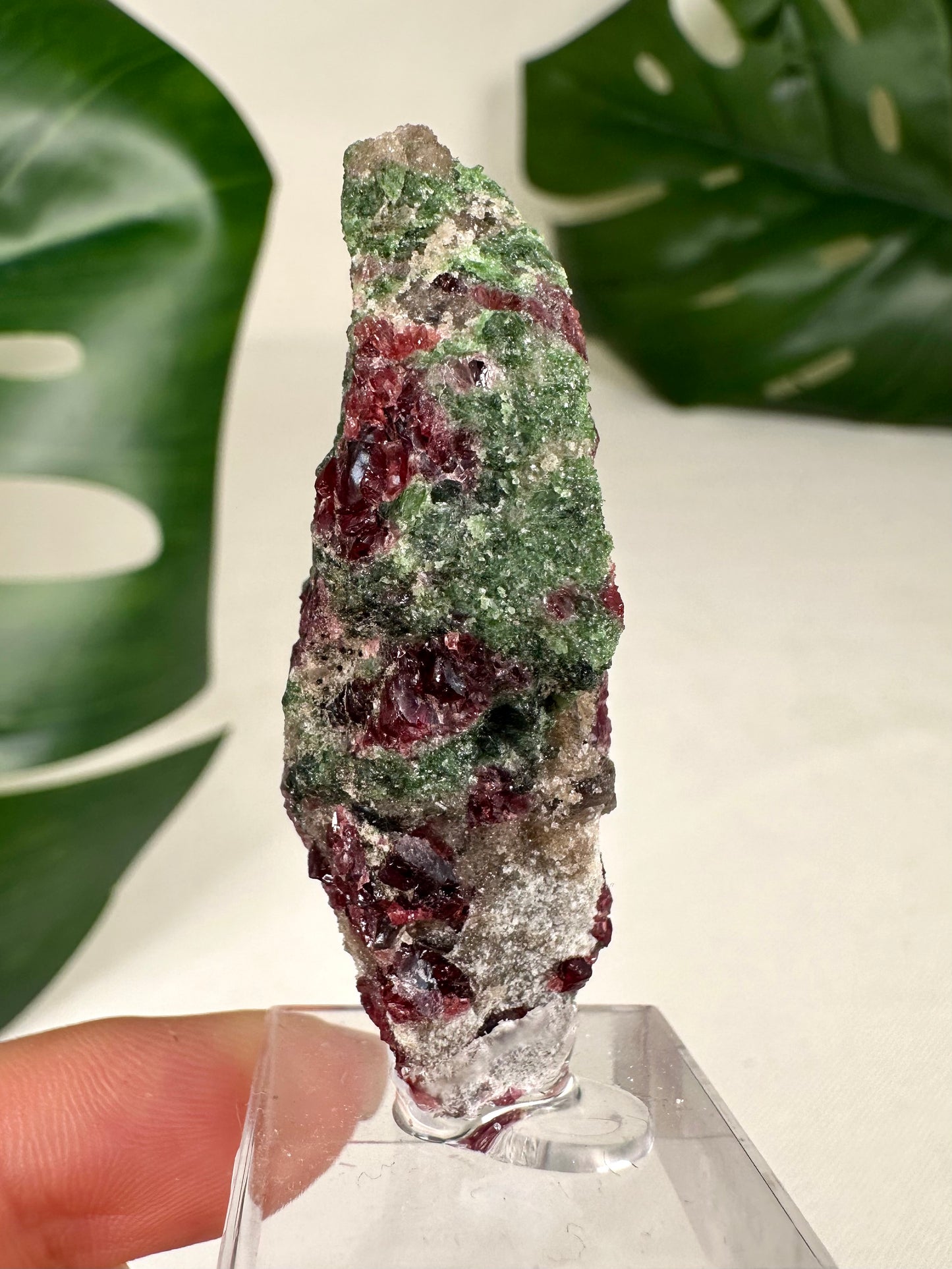 Pyrop Granat x Chromdiopsid Nr.98PC