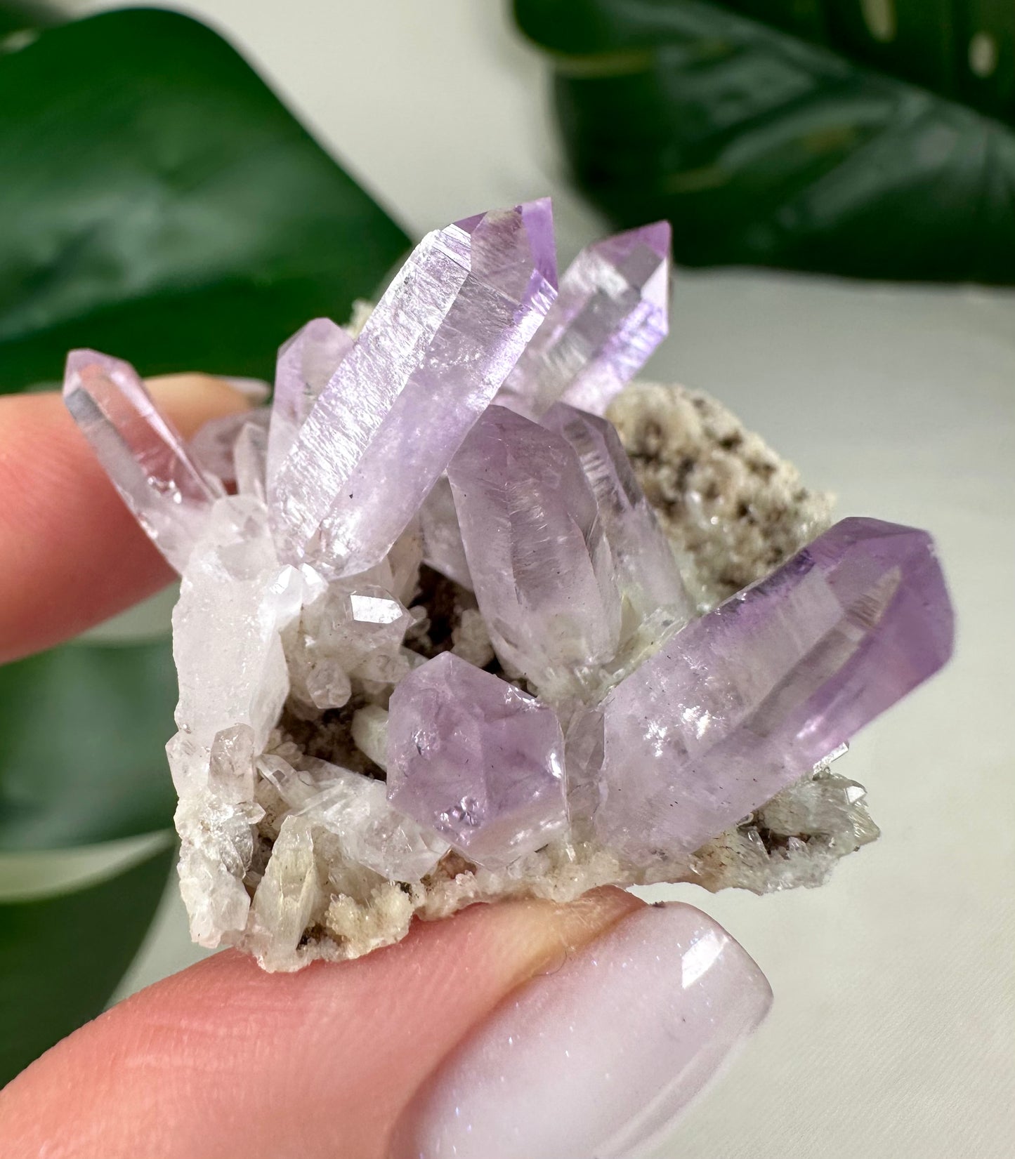 Vera Cruz Amethyst Nr.72VC