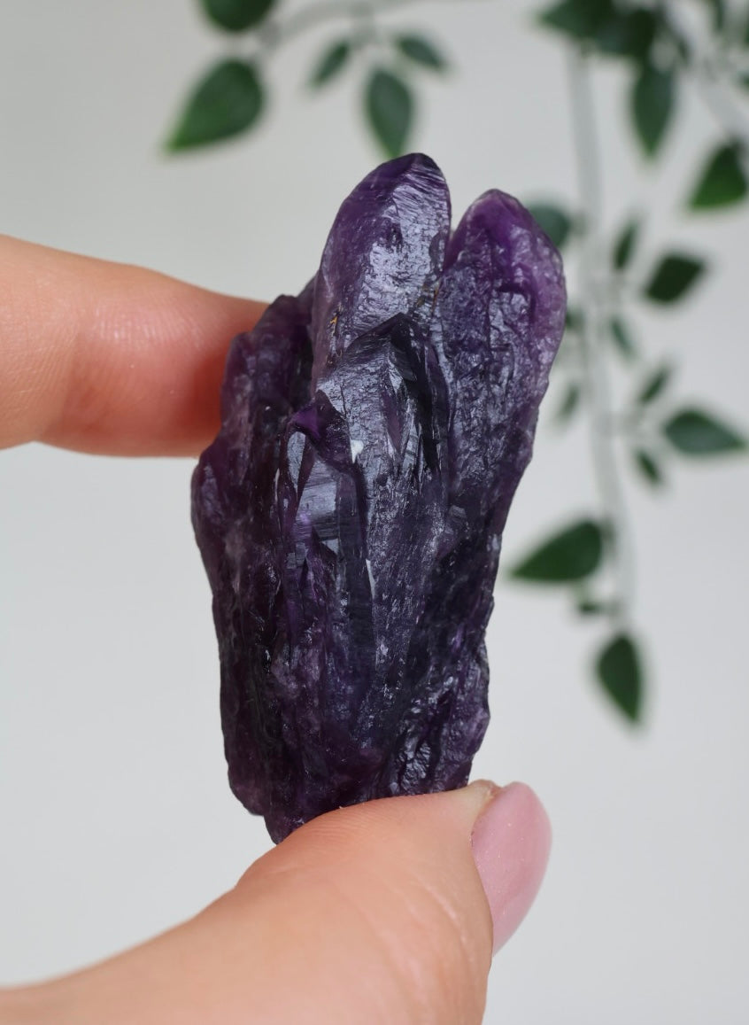 Amethyst - Neufund Nr.43A2