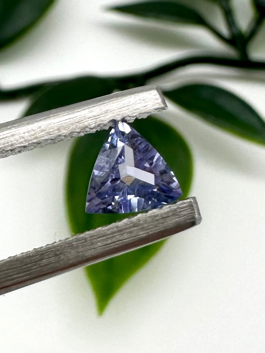 Tansanit Trillion Edelstein Nr. 95TT