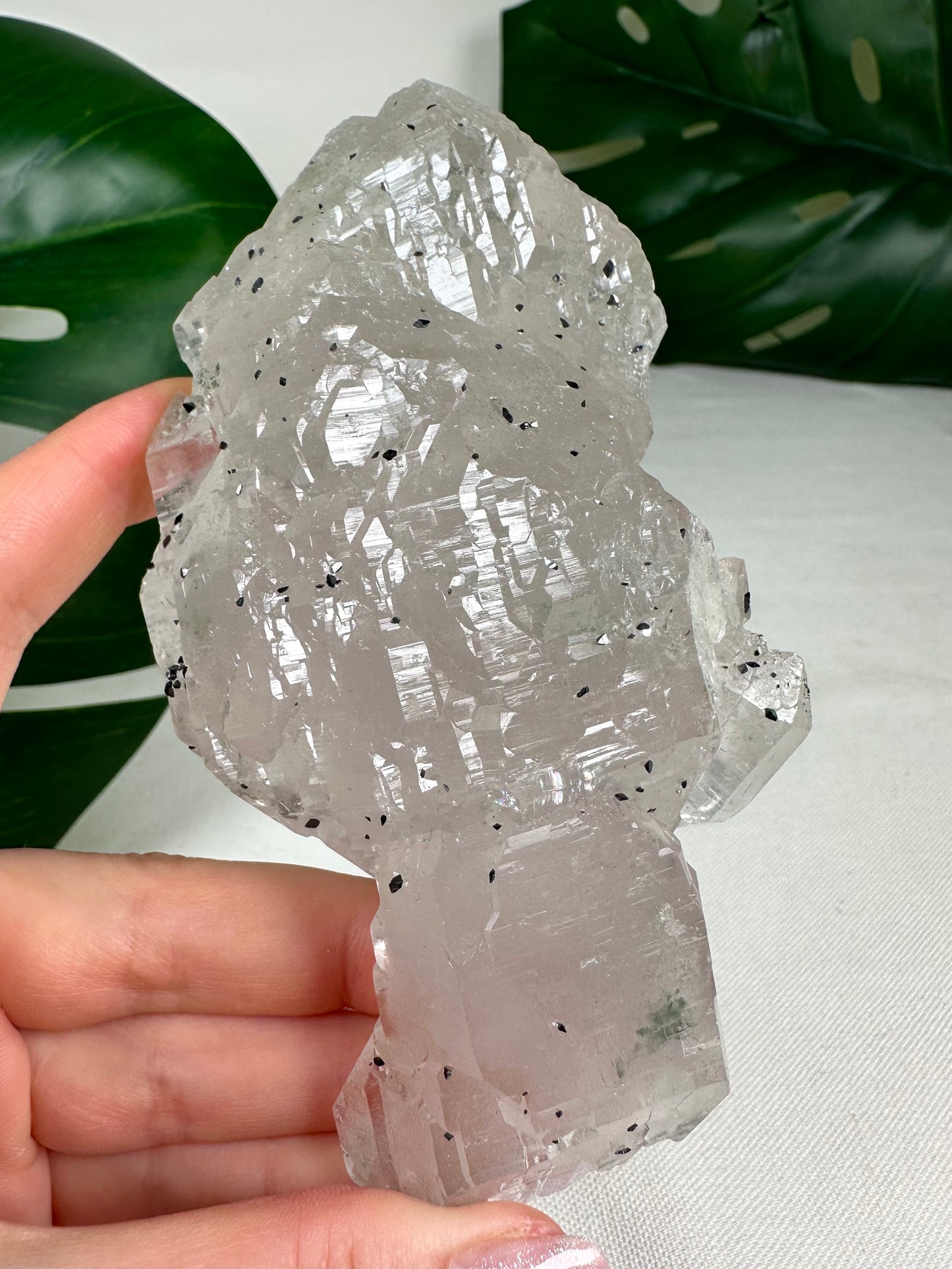 Himalaya Quarz 'Nirvana' mit Anatas Nr.1449HQ