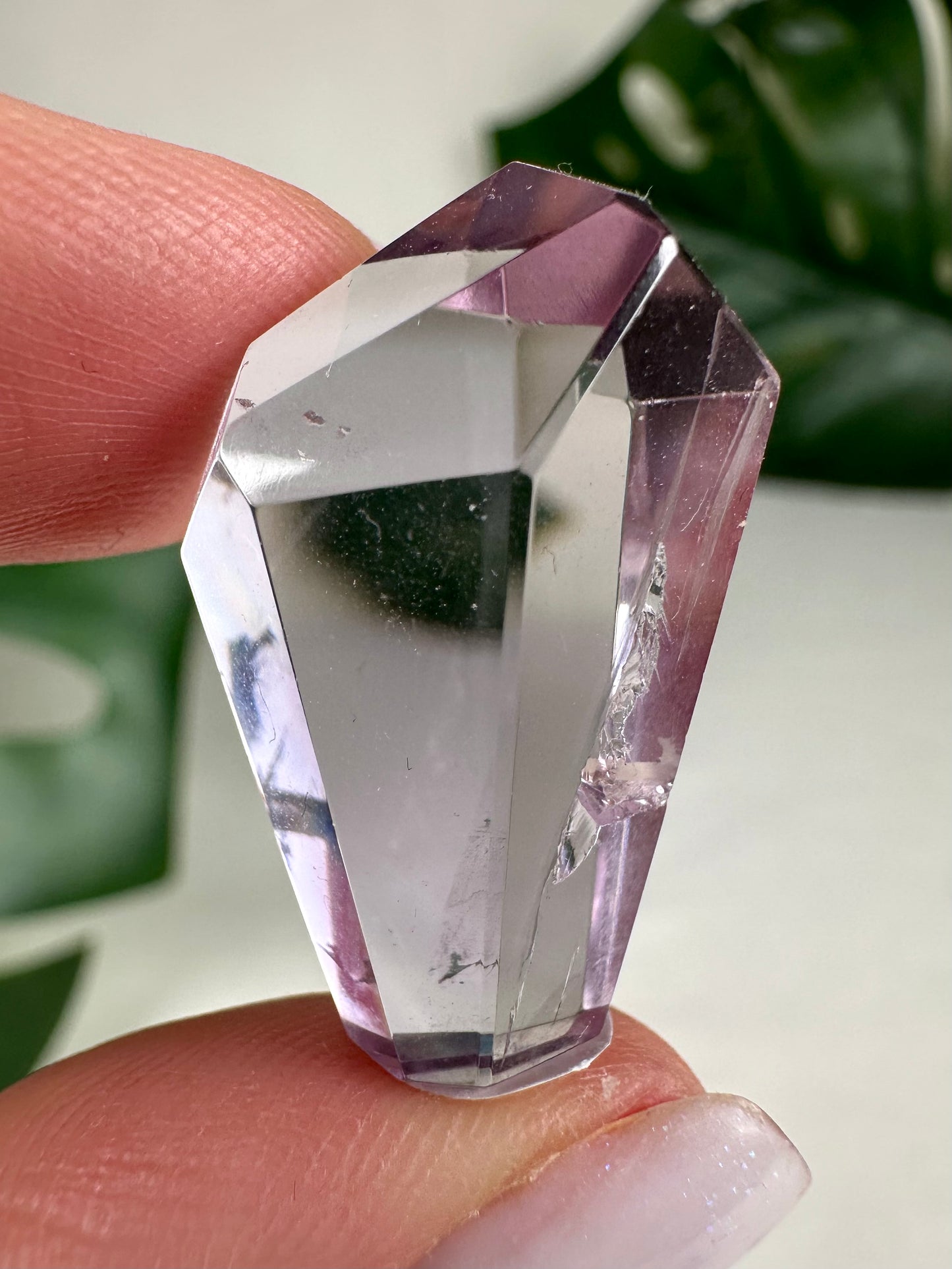 Rose de France Amethyst - Selection
