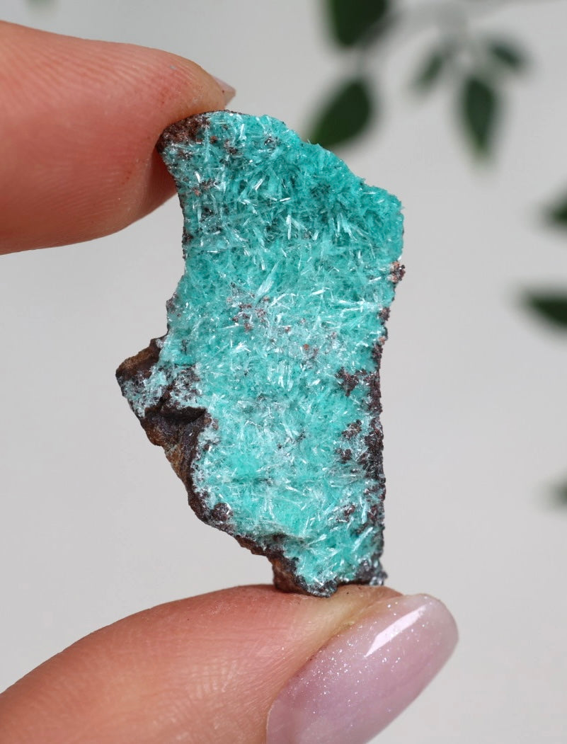 Aurichalcite - Auswahl