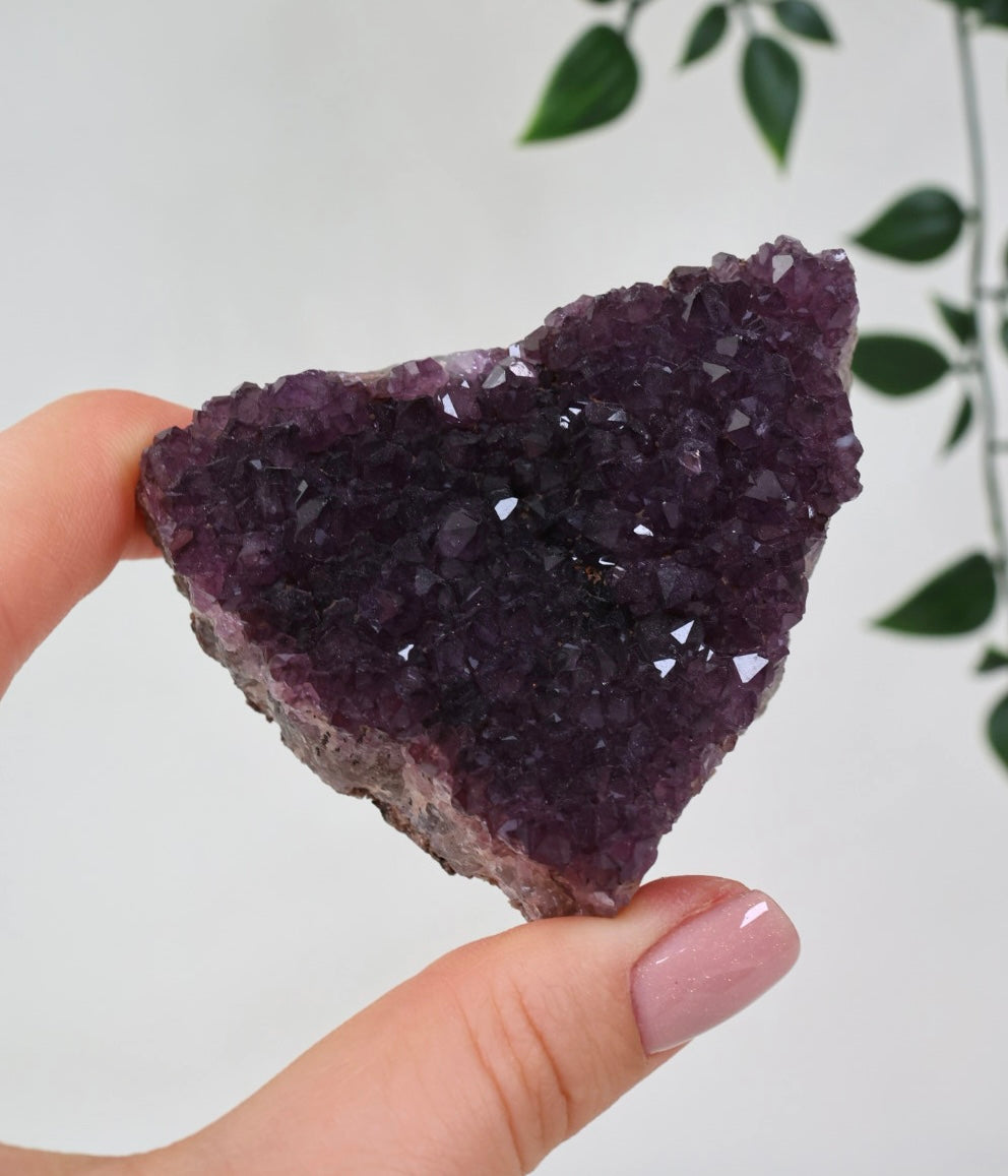 Alacam Amethyst Nr.30AC