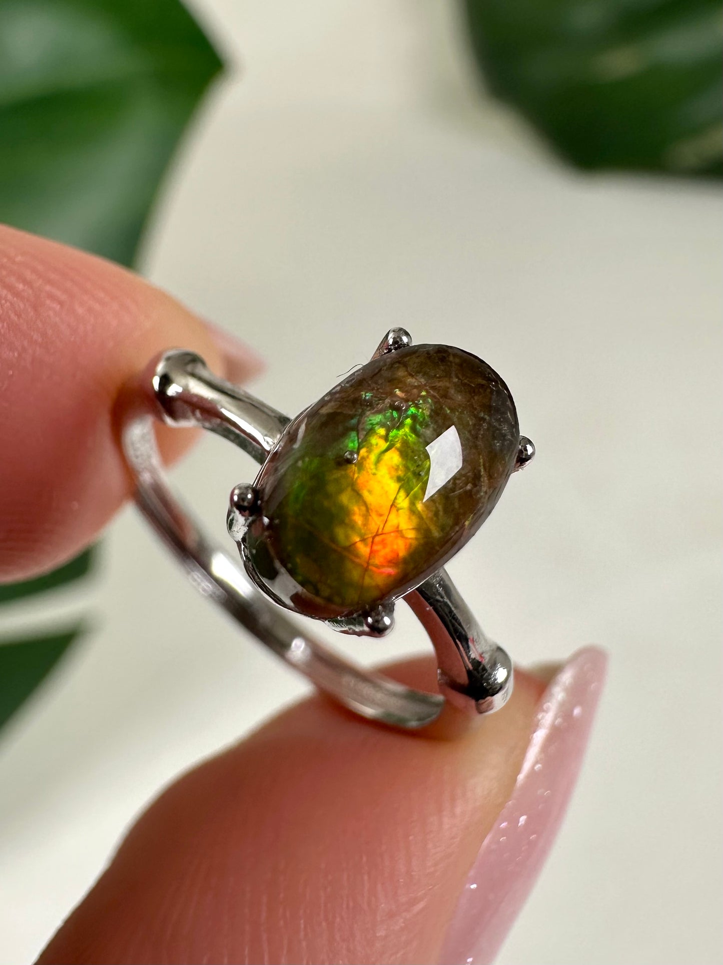 Ammolit Ring in 925 Silber Nr.49A4
