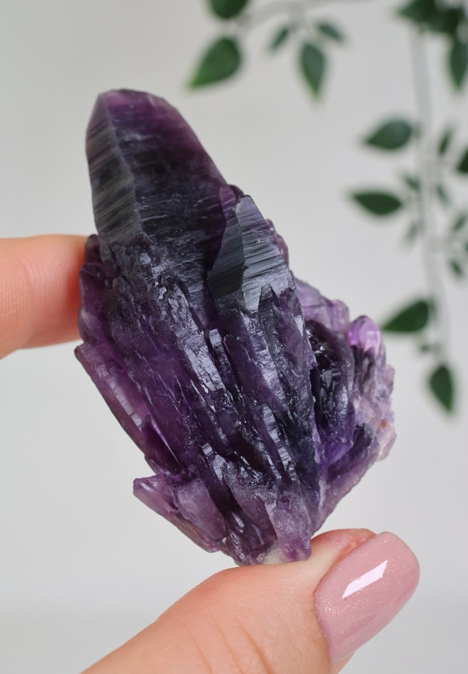 Amethyst - Neufund Nr.60AK