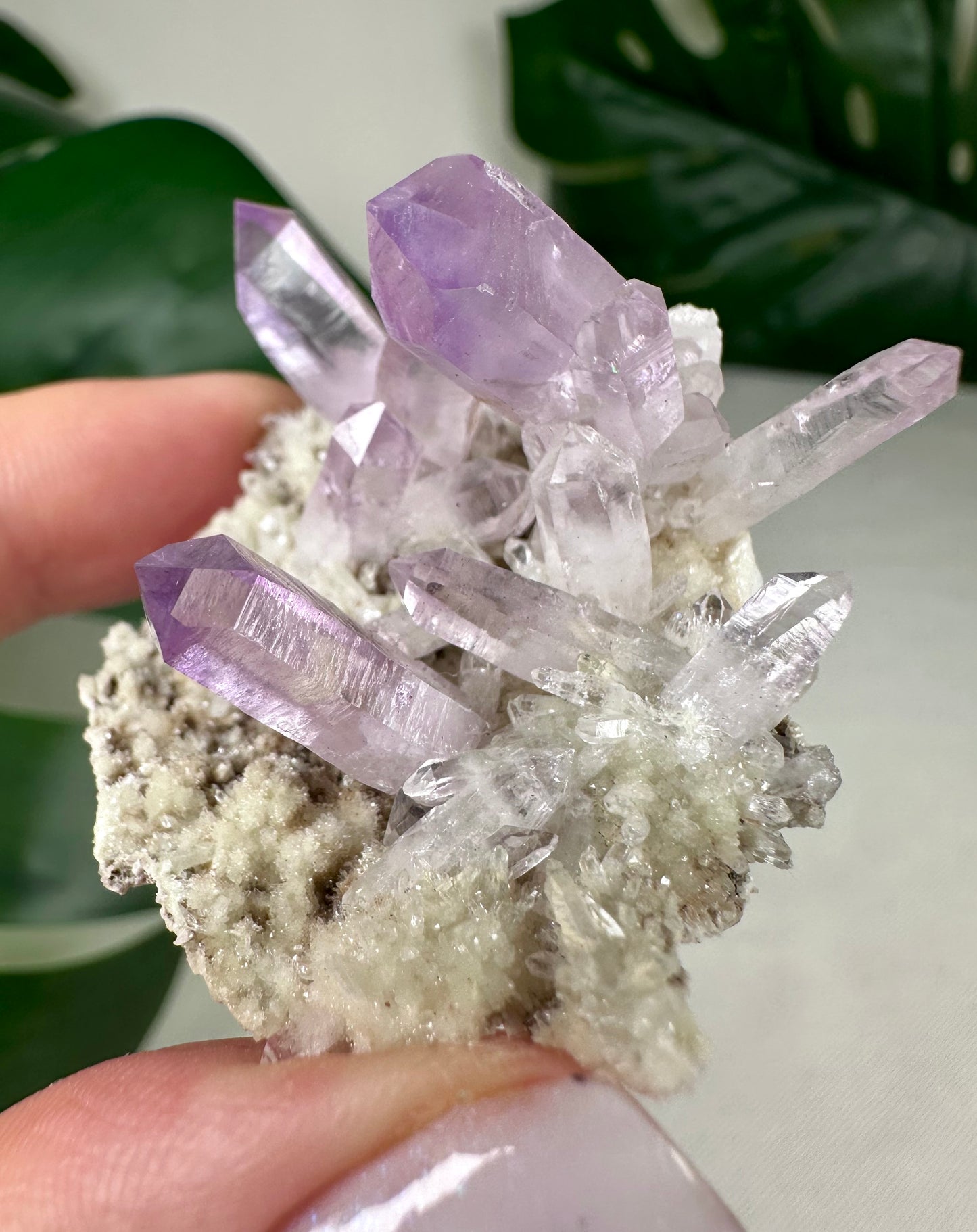 Vera Cruz Amethyst Nr.72VC
