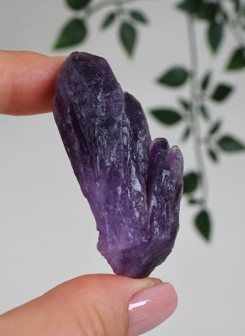 Amethyst - Neufund Nr.42A2