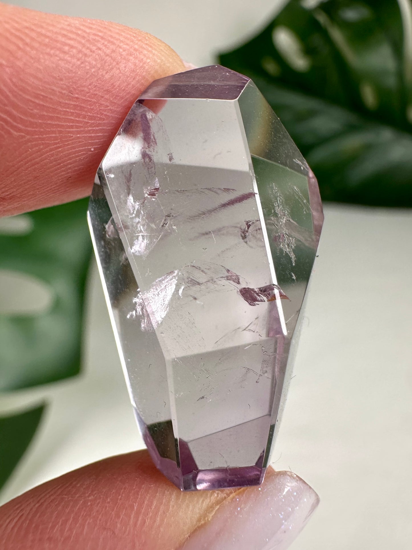 Rose de France Amethyst - Selection