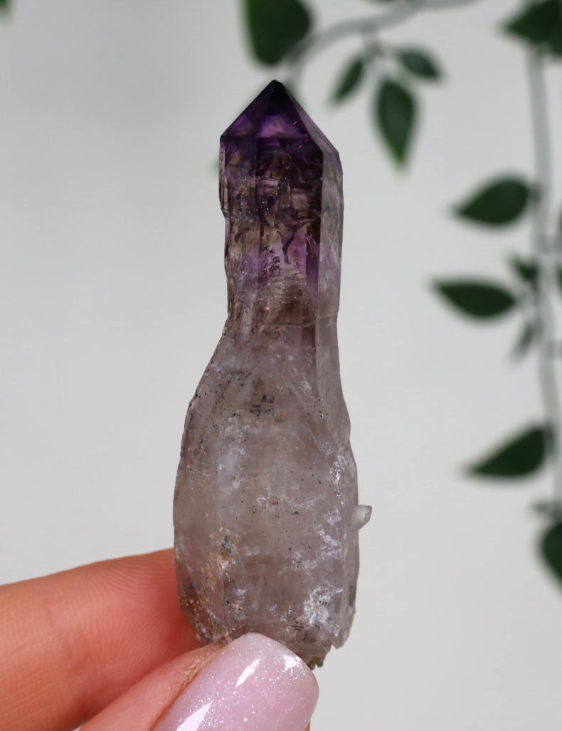 Shangaan Amethyst x Rauchquarz Zepter Nr.23SA