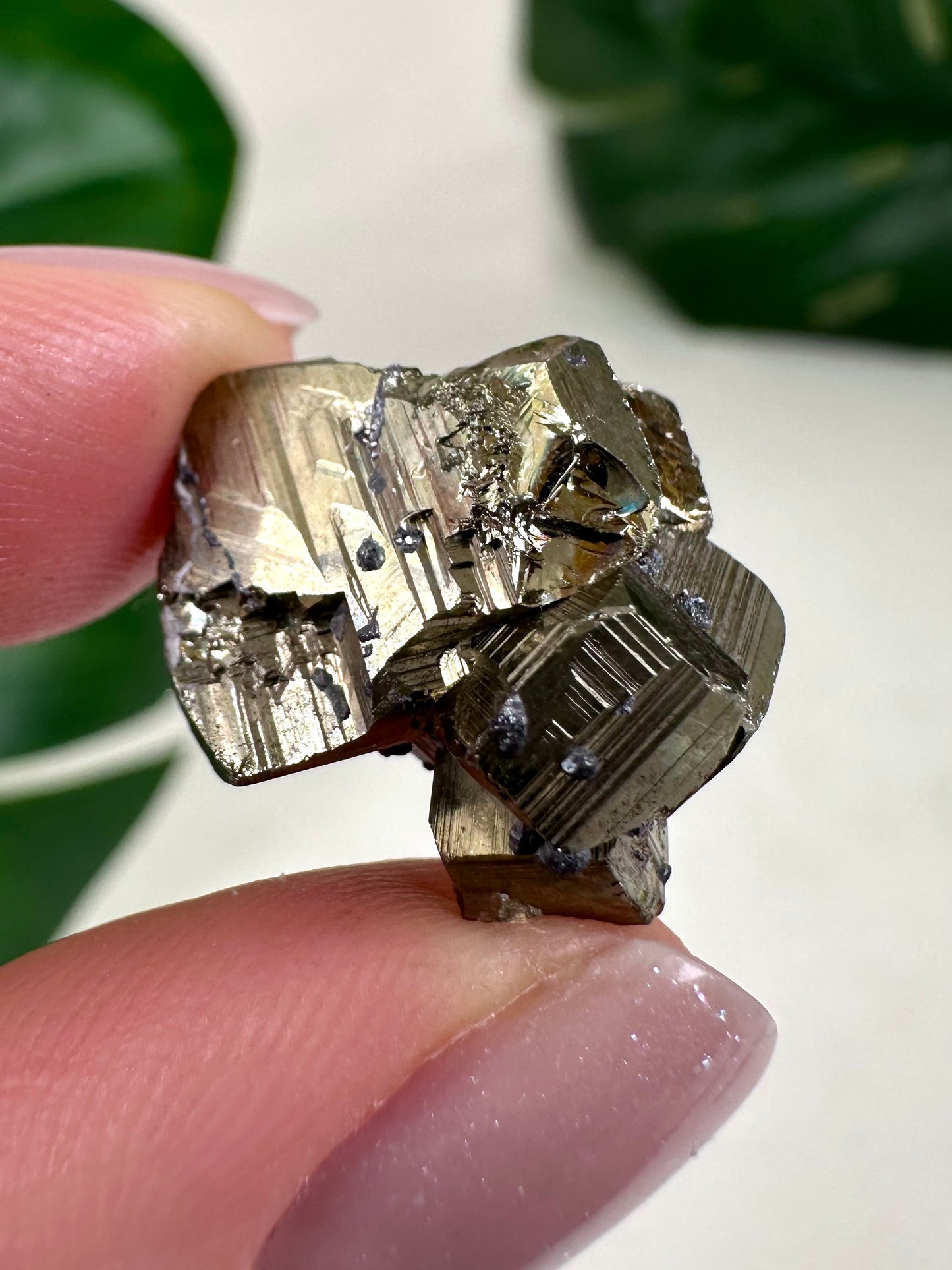 Pyrite No. 8P1