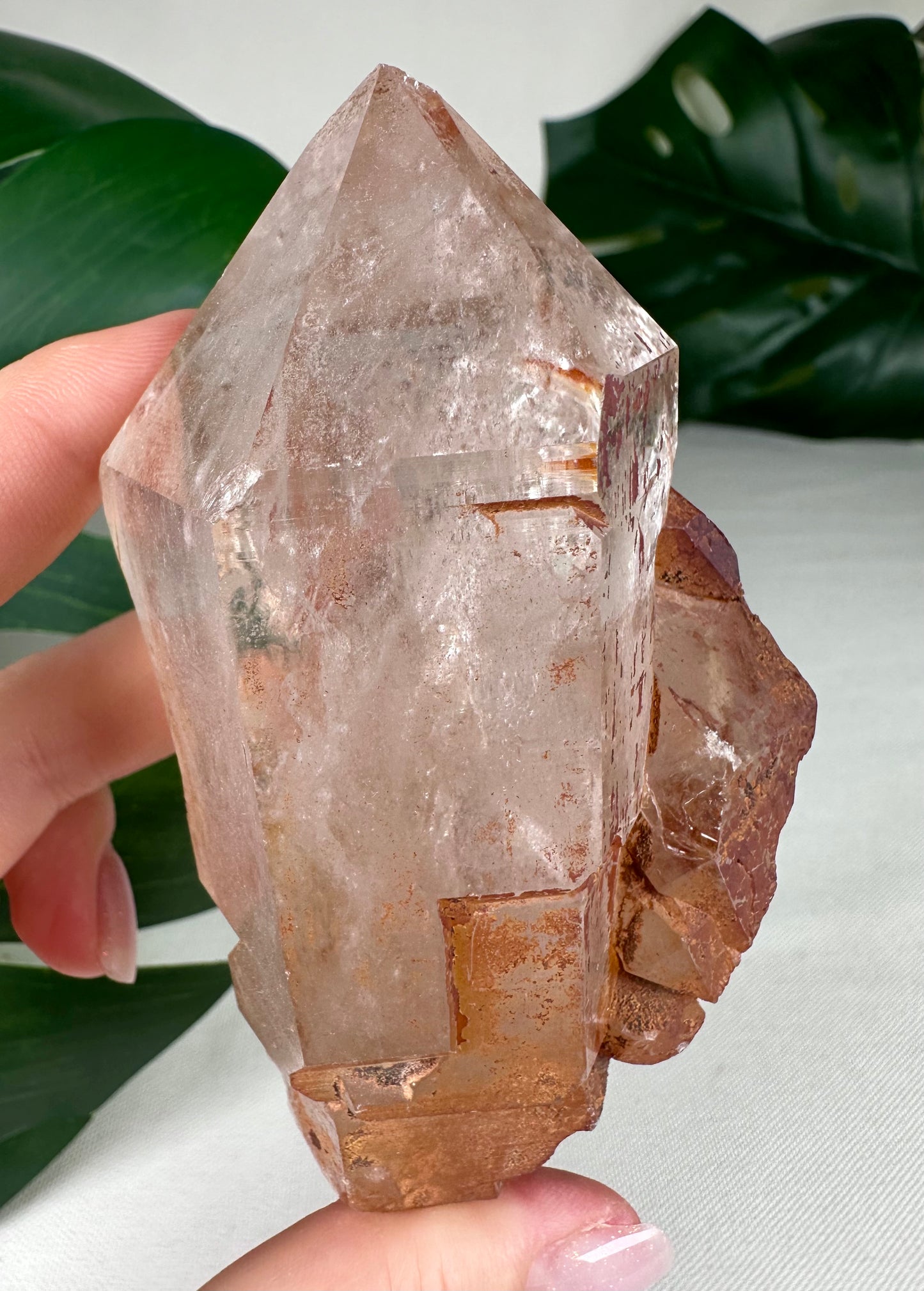 Himalaya Quarz Spitze Nr.89HQ
