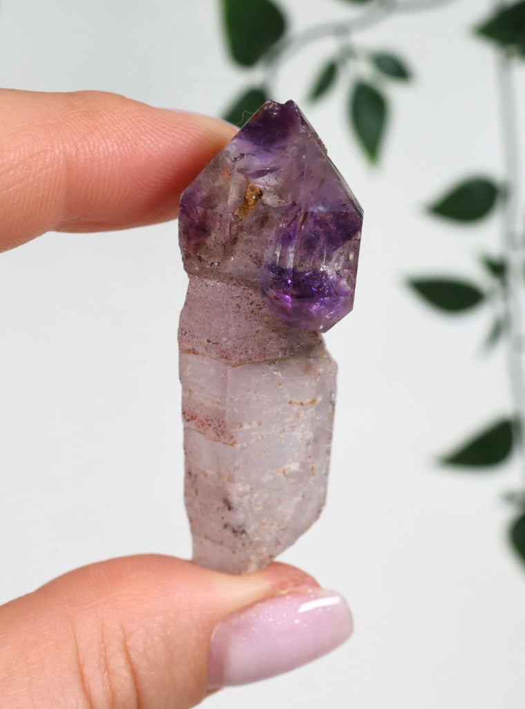 Shangaan Amethyst x Rauchquarz x Hämatit Nr.18SA