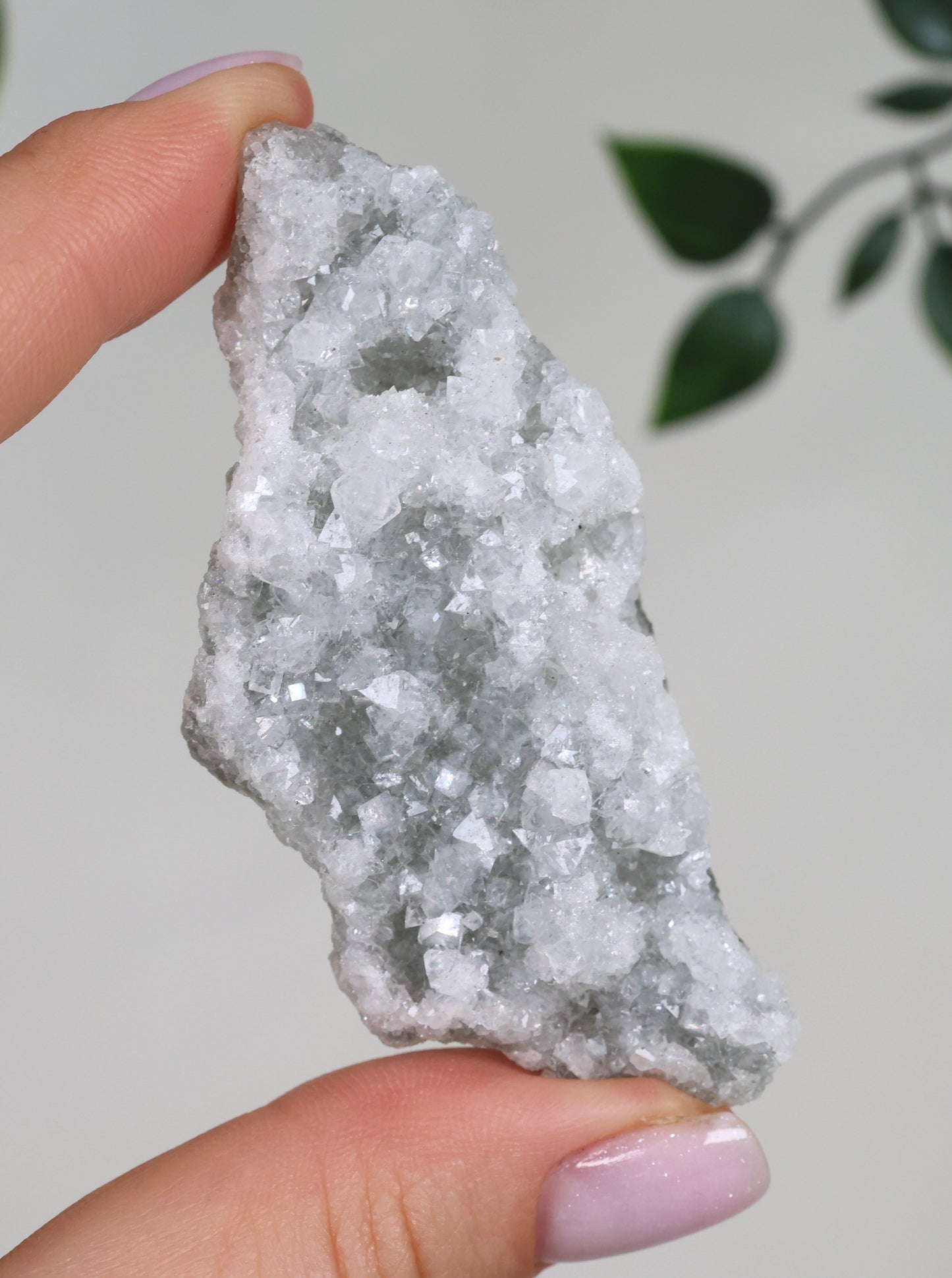 Grüner Apophyllit Crust Nr.30GA