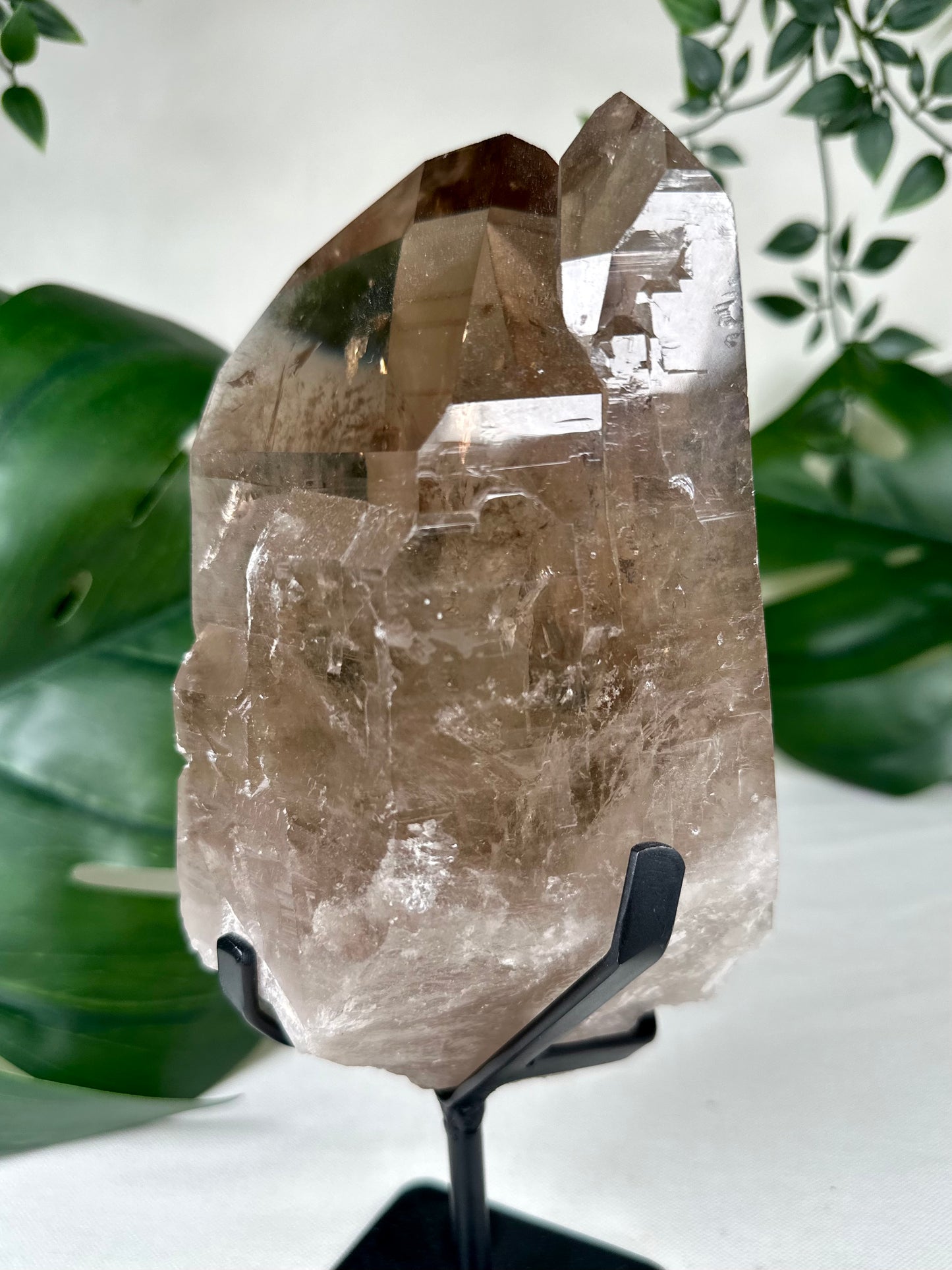Rauchquarz Lemurian XL Nr.630LR