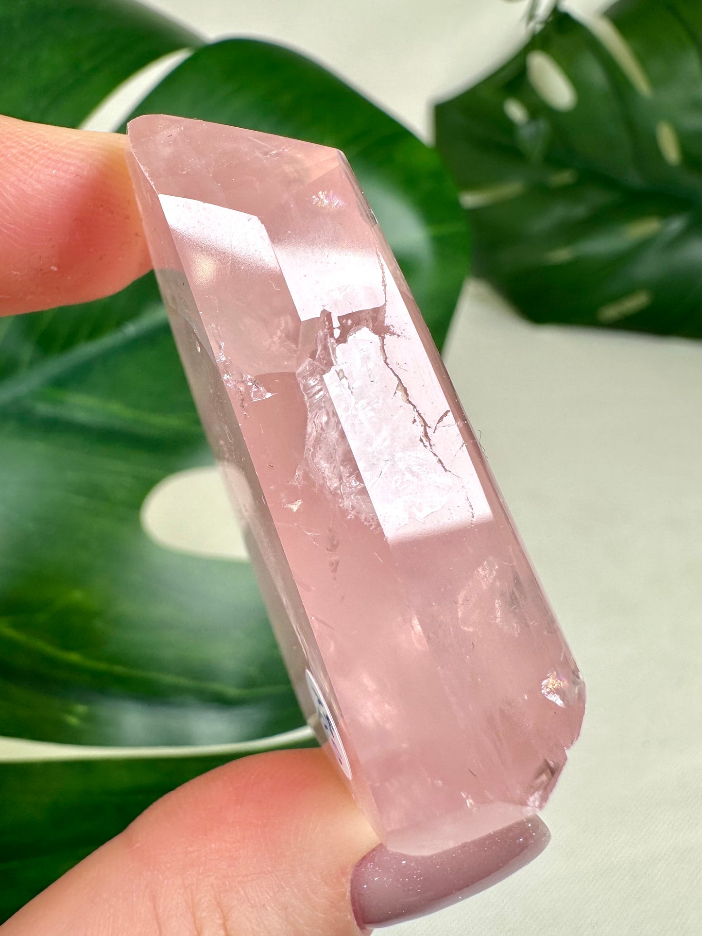 Rose Quartz No. 18R5