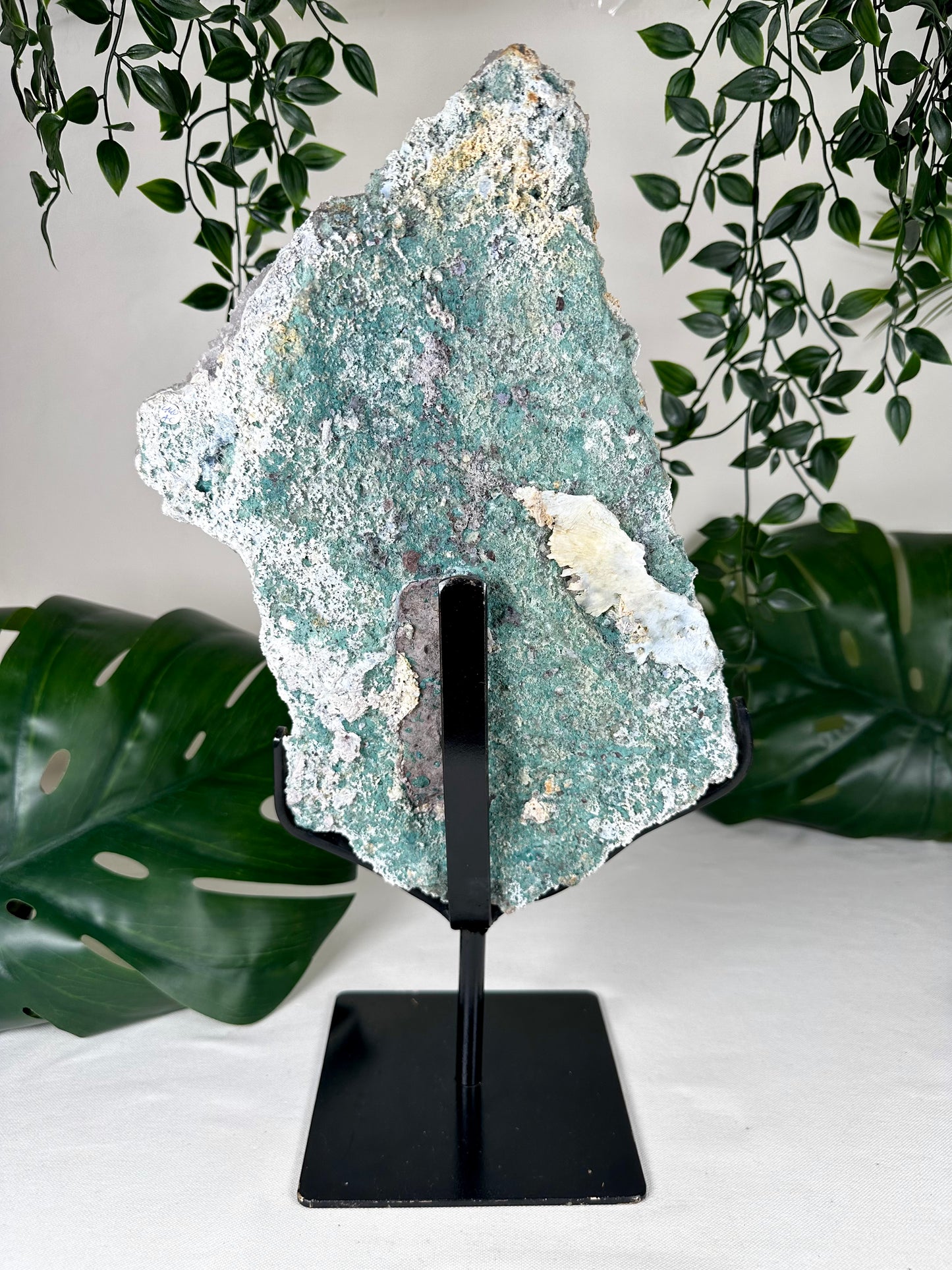Amethyst XXL Nr.440AC