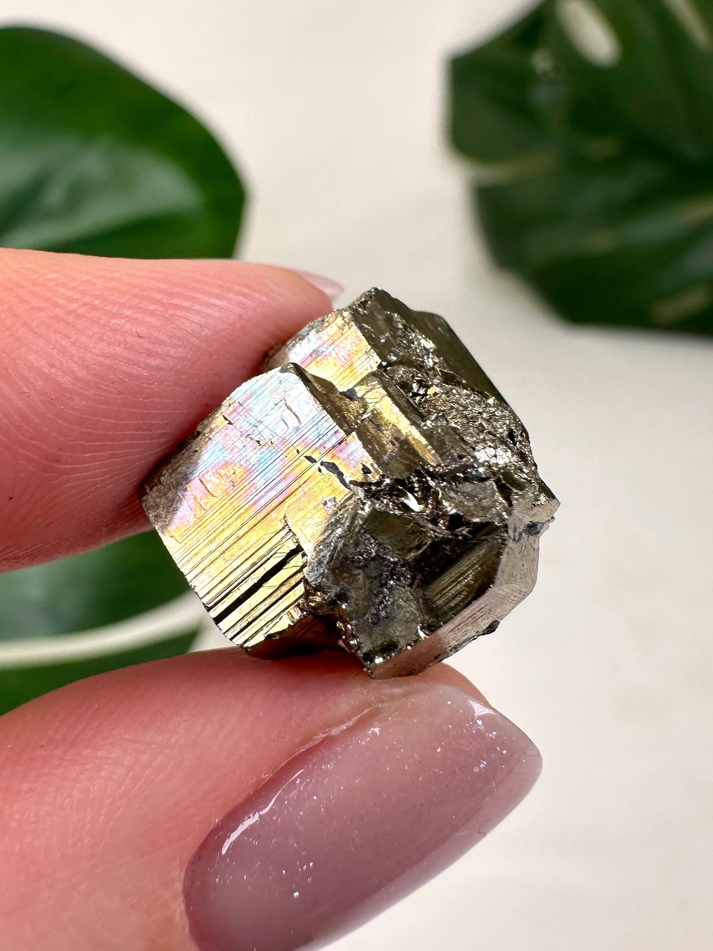 Iridescent Pyrite No. 8P6