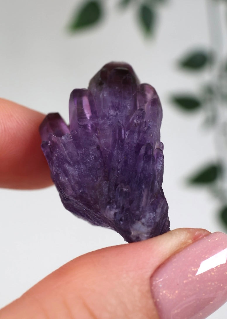 Amethyst - Neufund Nr.49AK