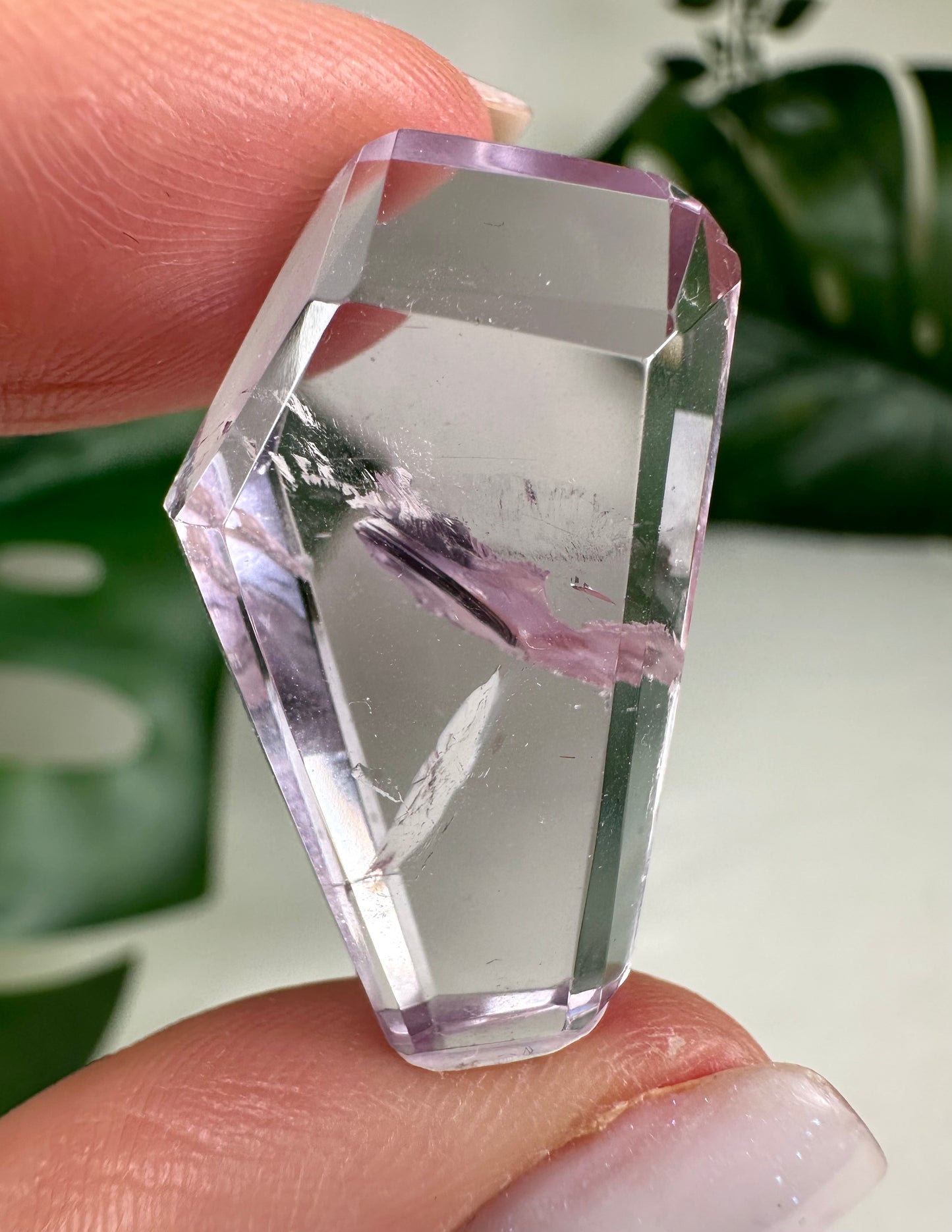 Rose de France Amethyst - Selection